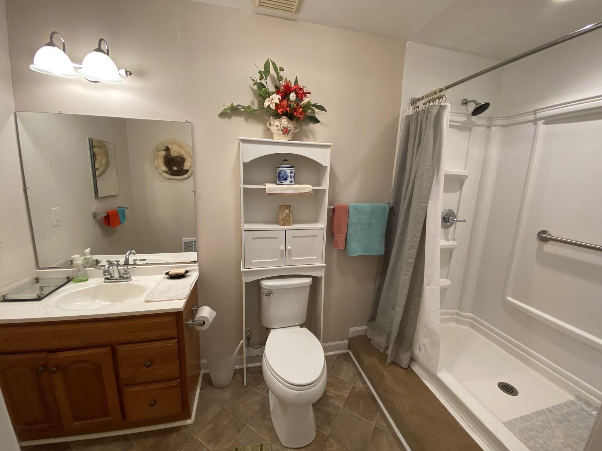 5378 Ferrum Mountain Road Callaway, VA 24067 - Photo 27 of 71 a bathroom with a sink toilet and shower