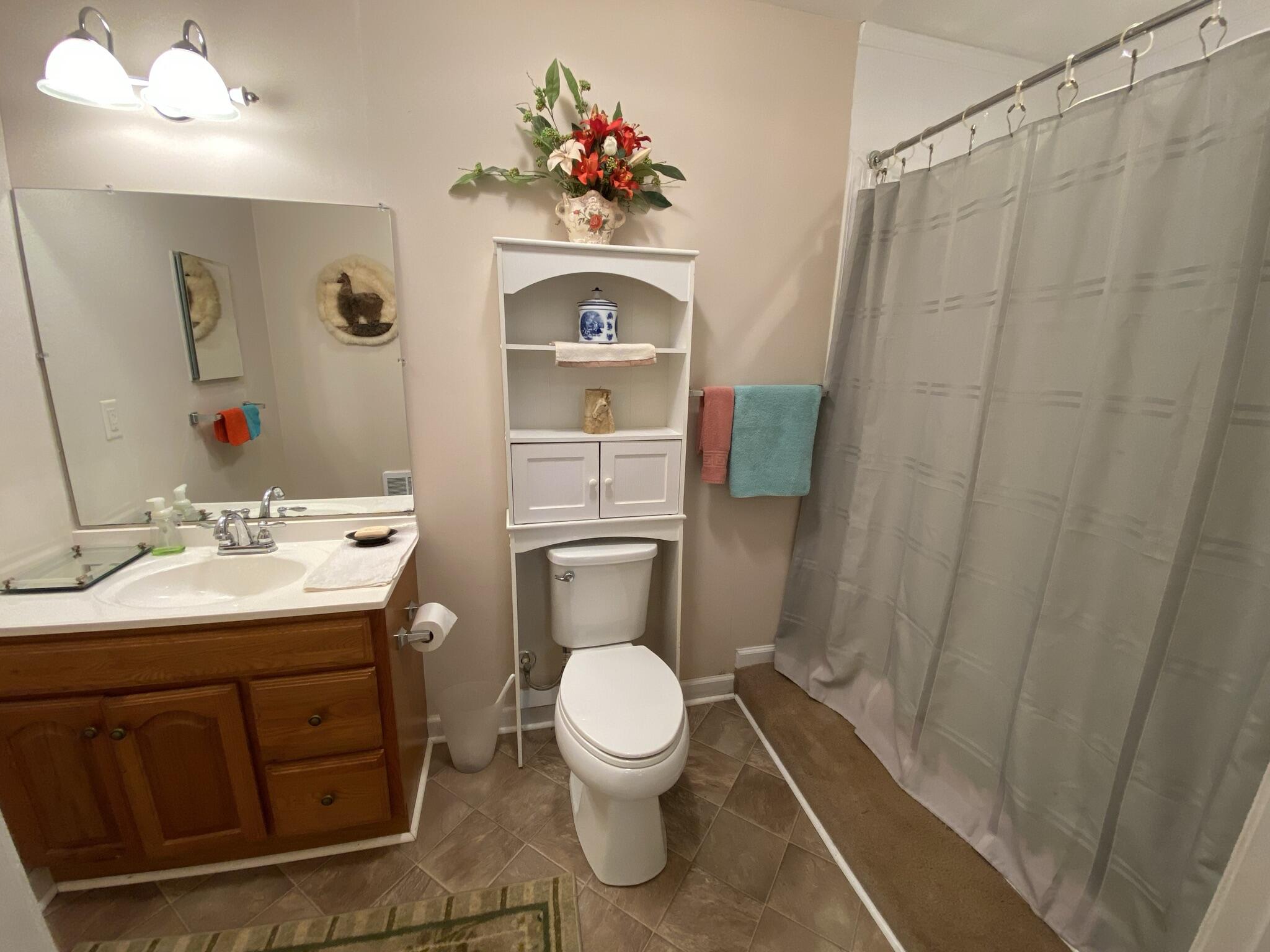5378 Ferrum Mountain Road Callaway, VA 24067 - Photo 63 of 71 a bathroom with a toilet sink and mirror