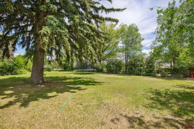 a view of a yard with a tree
