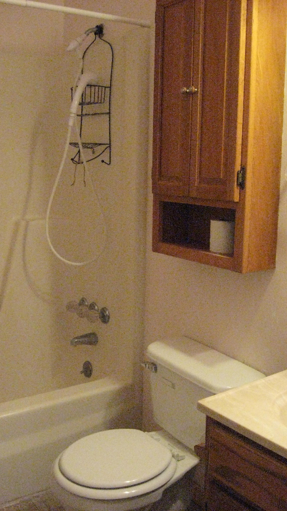575 Arch Mill Road Buchanan, VA 24066 - Photo 5 of 11 IMG_4140