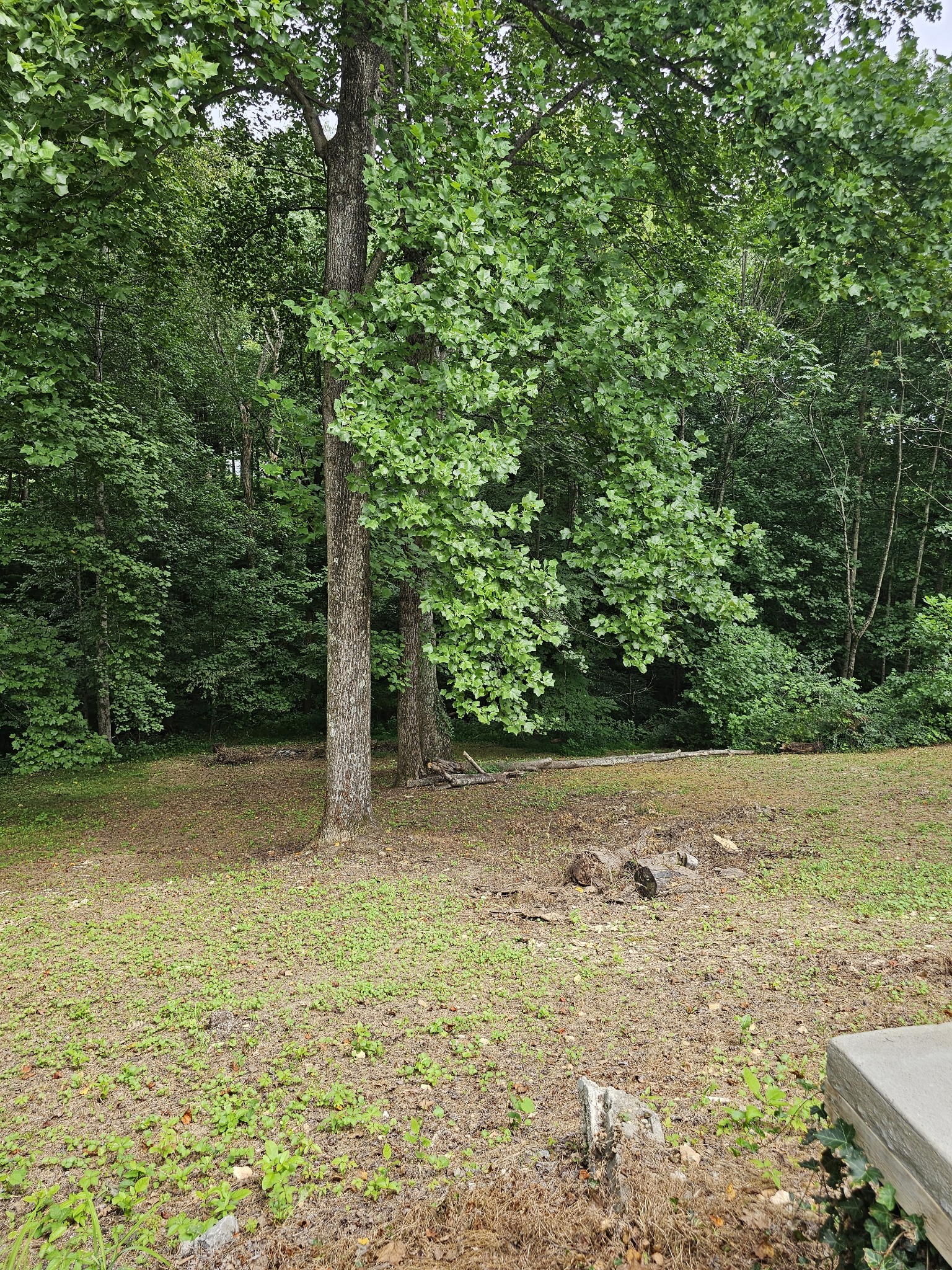 580 Fox Run Lane Lafayette, TN 37083 - Photo 40 of 55