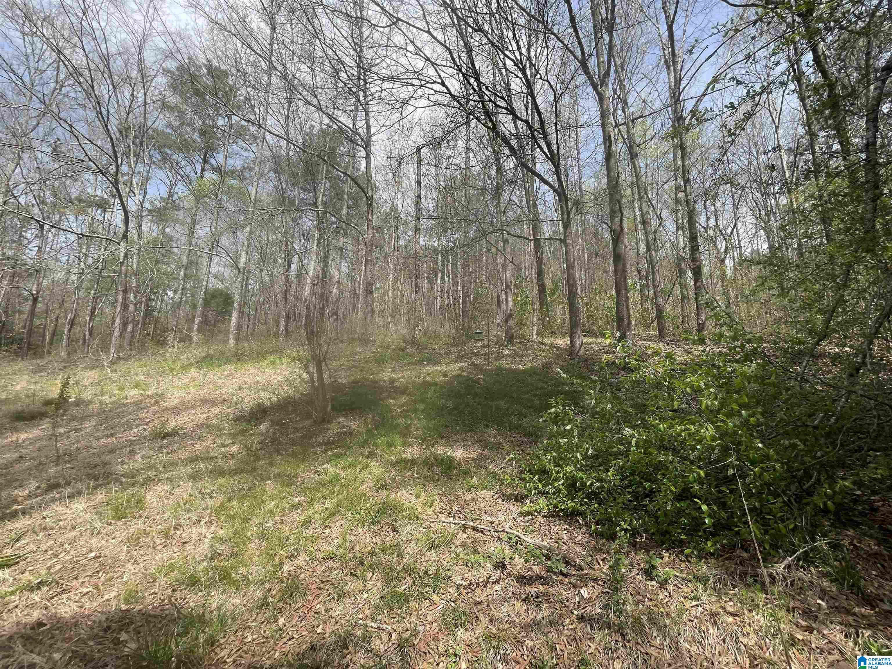 98 Cleburne Street Attalla, AL 35954 - Photo 18 of 22