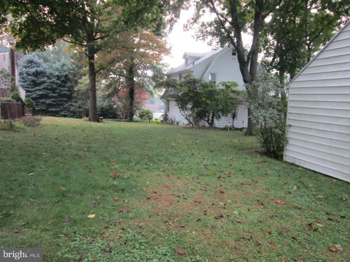 Side Yard
