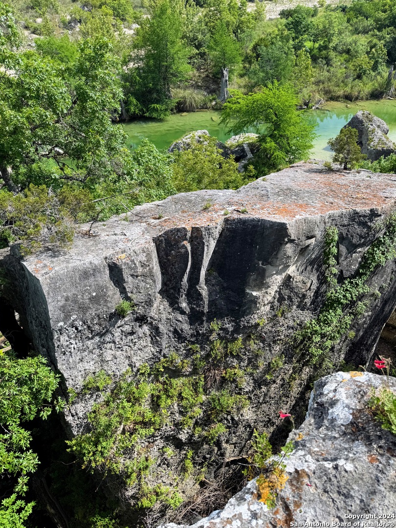 201 Cypress Bluff Road Pipe Creek, TX 78063 - Photo 1 of 16 a view of a garden with a tree