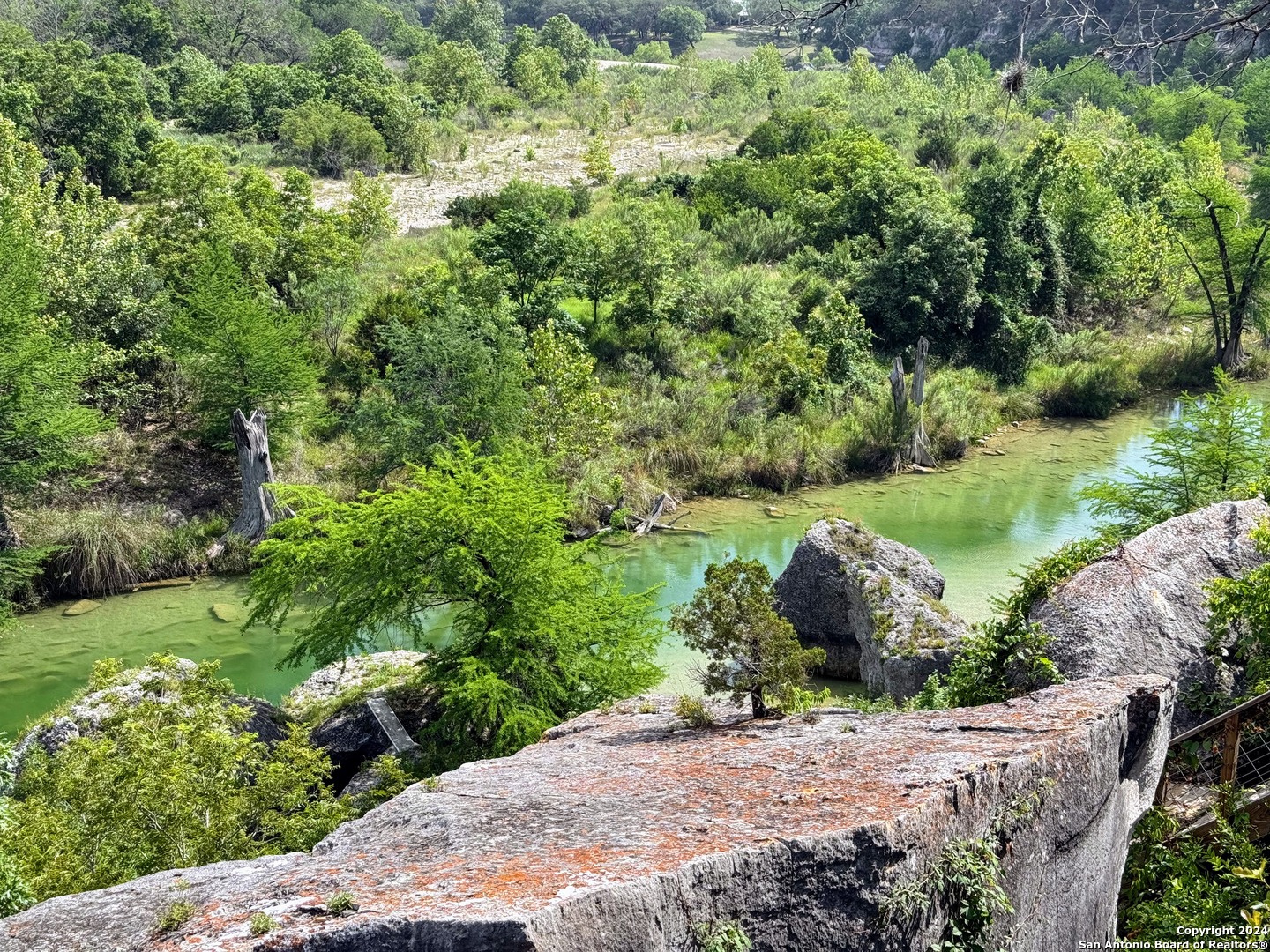 201 Cypress Bluff Road Pipe Creek, TX 78063 - Photo 2 of 16 a view of a garden with a tree in front of it