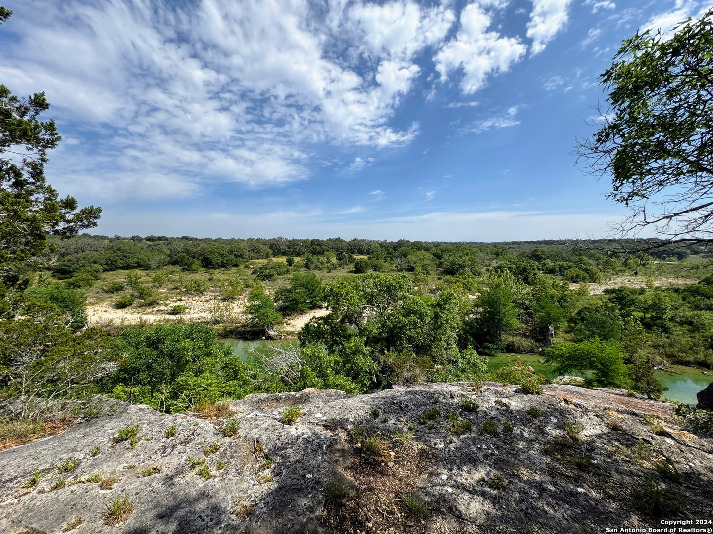 201 Cypress Bluff Road Pipe Creek, TX 78063 - Photo 5 of 16 a view of a bunch of trees and bushes