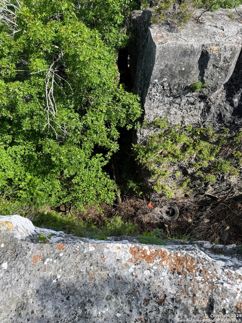 201 Cypress Bluff Road Pipe Creek, TX 78063 - Photo 6 of 16 a backyard of a house with a yard with plants