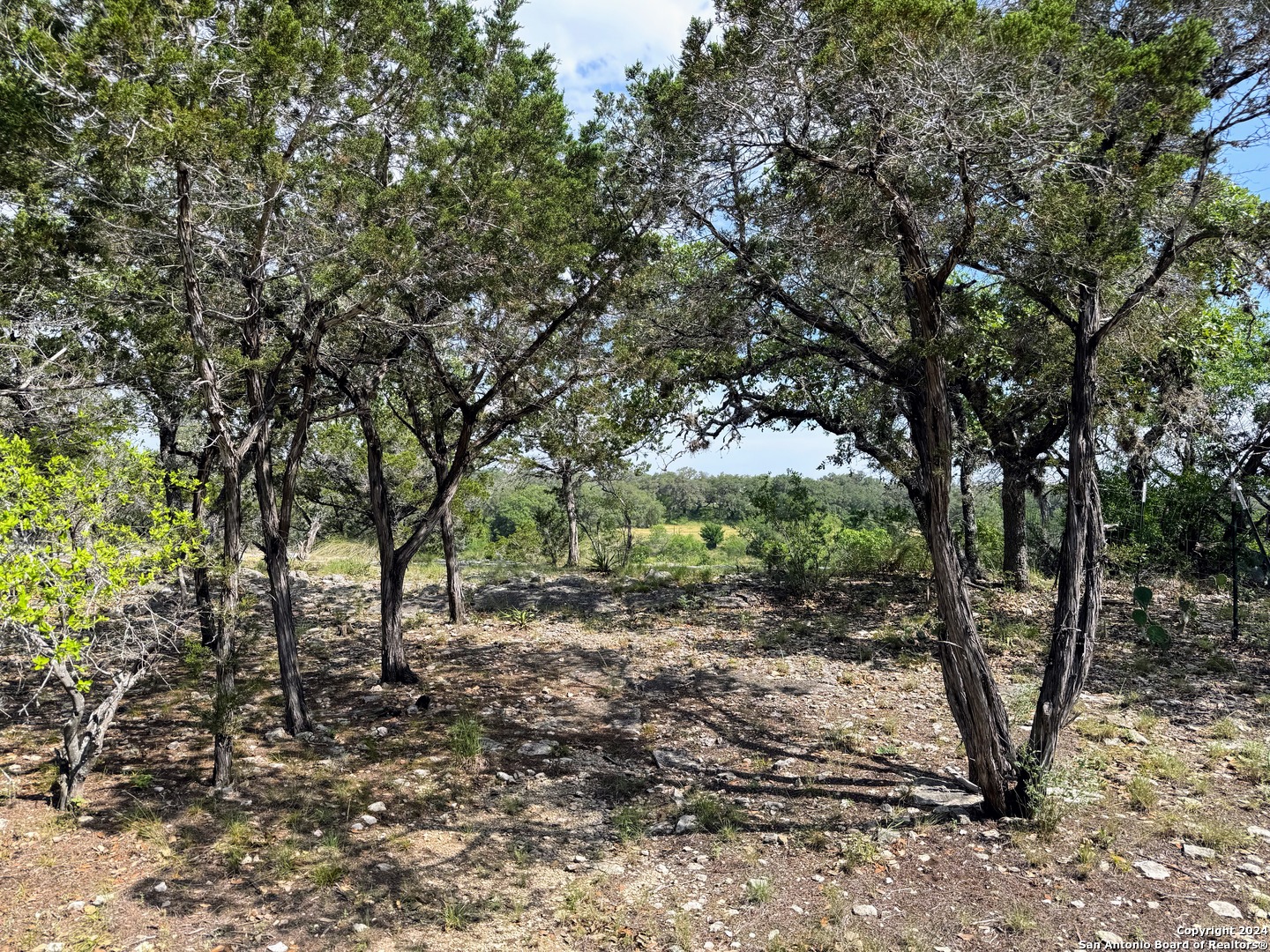 201 Cypress Bluff Road Pipe Creek, TX 78063 - Photo 7 of 16 a view of a forest with trees in the background