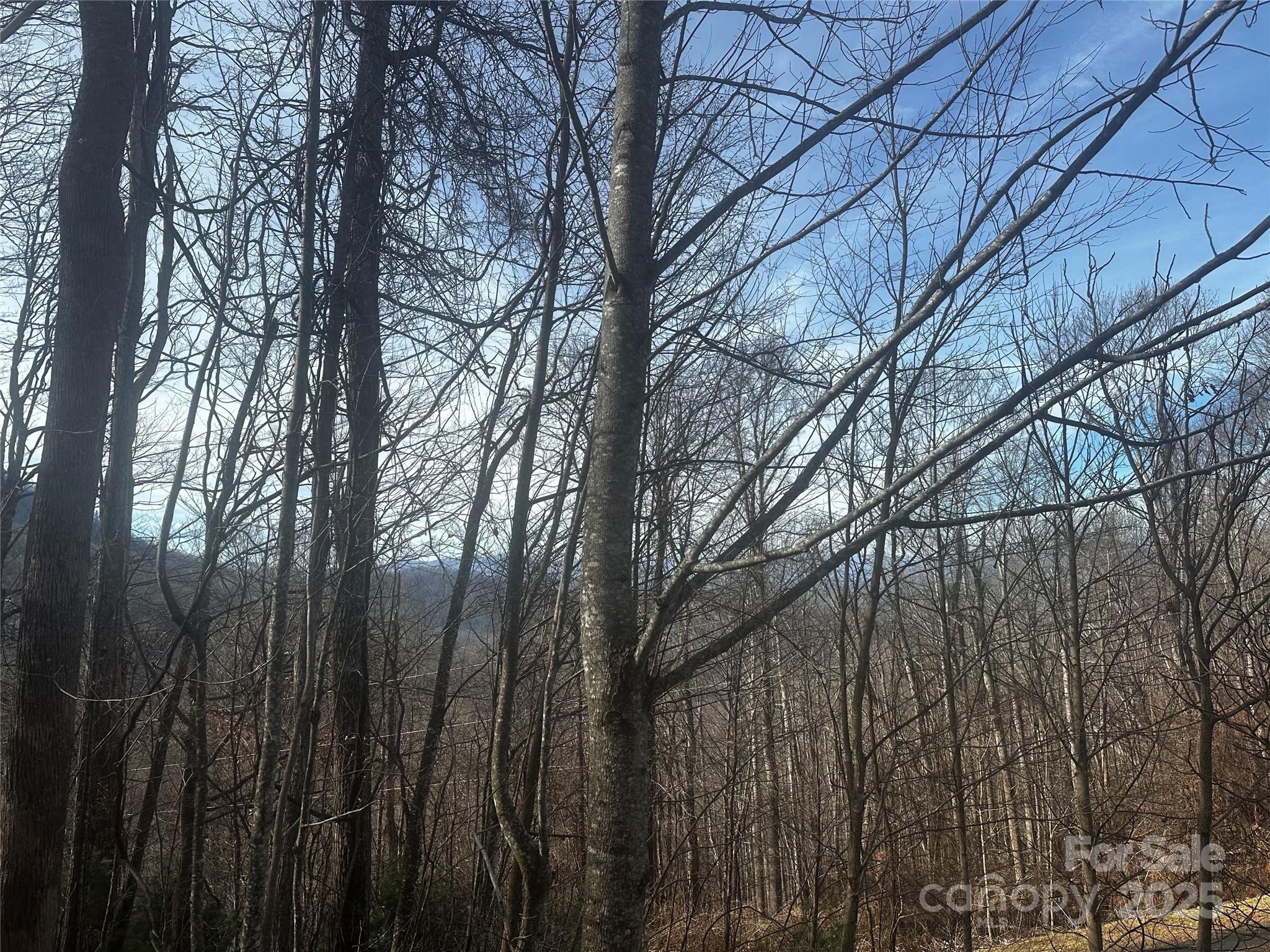 0 Wild Turkey Road, Unit 21 Bakersville, NC 28705 - Photo 2 of 7 a view of forest