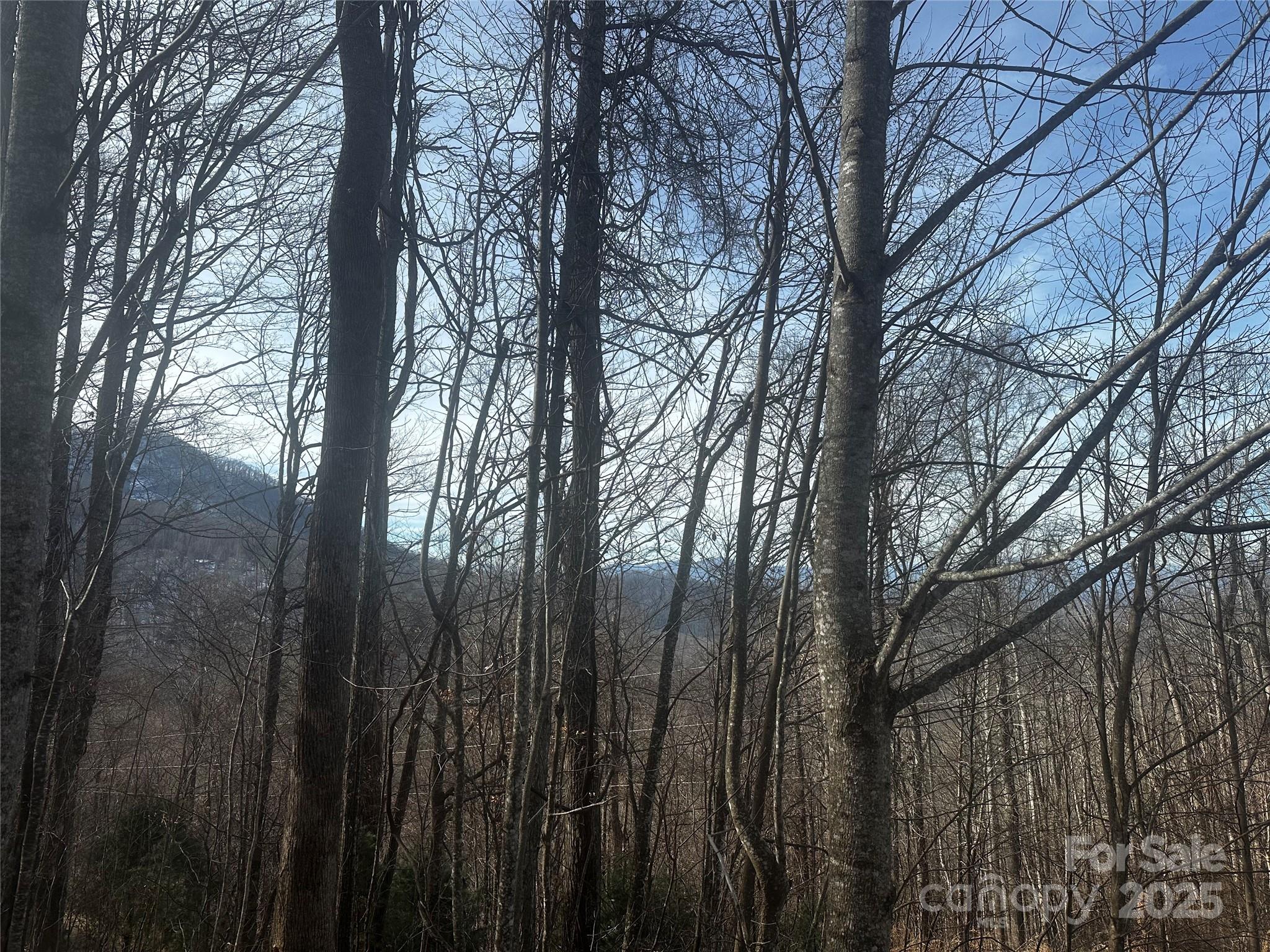 0 Wild Turkey Road, Unit 21 Bakersville, NC 28705 - Photo 3 of 7 a view of forest
