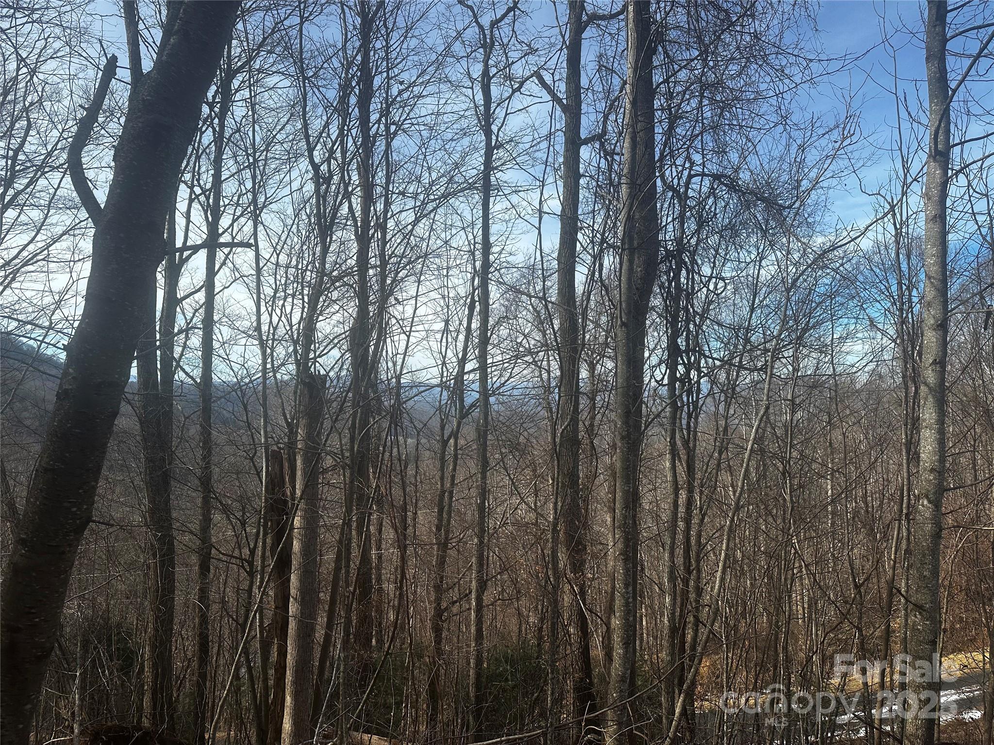 0 Wild Turkey Road, Unit 21 Bakersville, NC 28705 - Photo 6 of 7