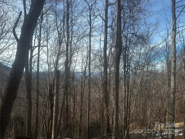 $95,000 | 0 Wild Turkey Road, Unit 21, Bakersville, NC 28705