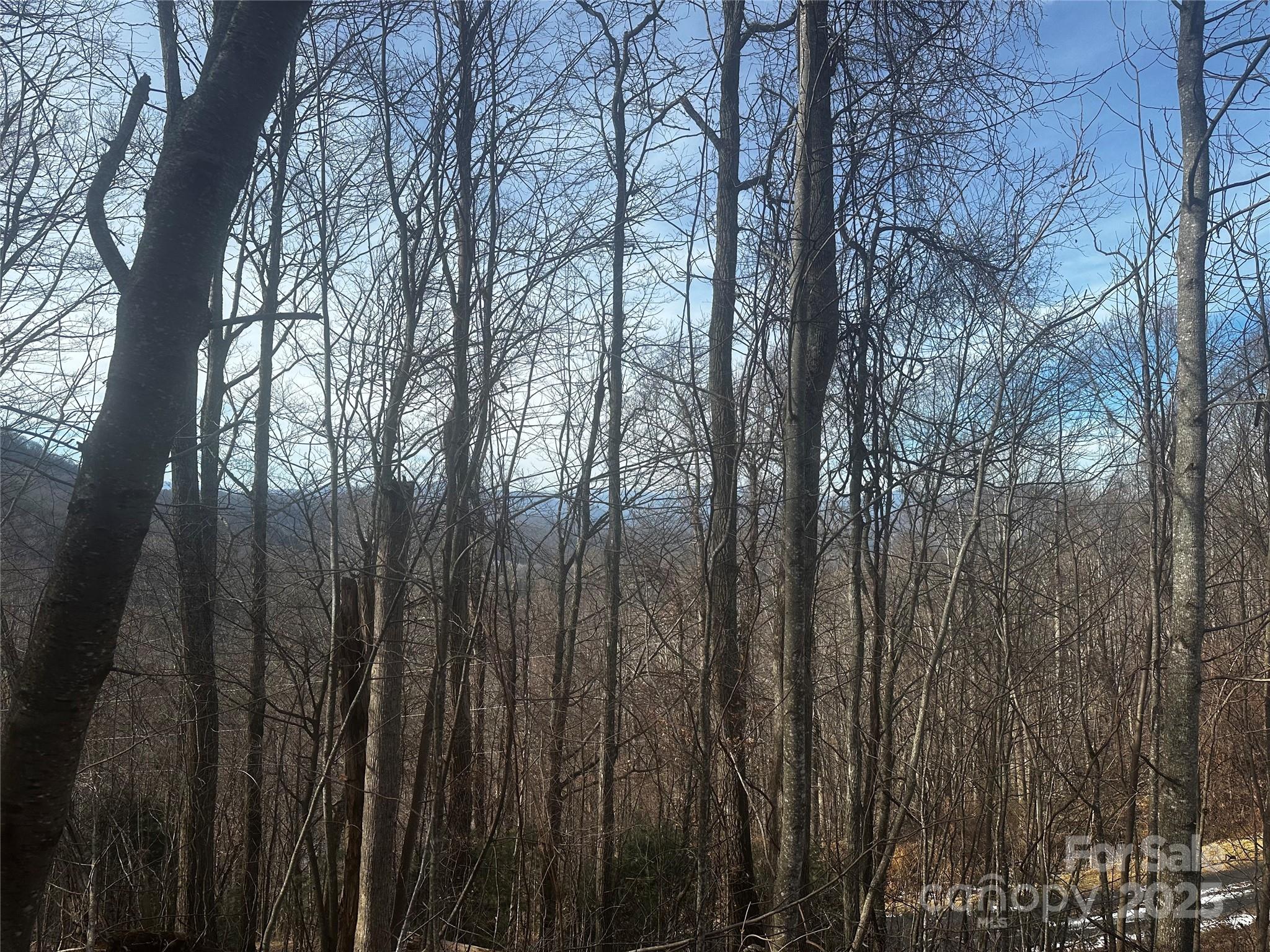 0 Wild Turkey Road, Unit 21 Bakersville, NC 28705 - Photo 7 of 7 a view of trees with lots of trees