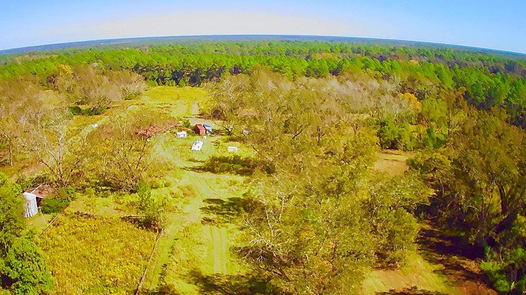 5236 Stewart Road Ochlocknee, GA 31773 - Photo 19 of 19 Gallery Image 19