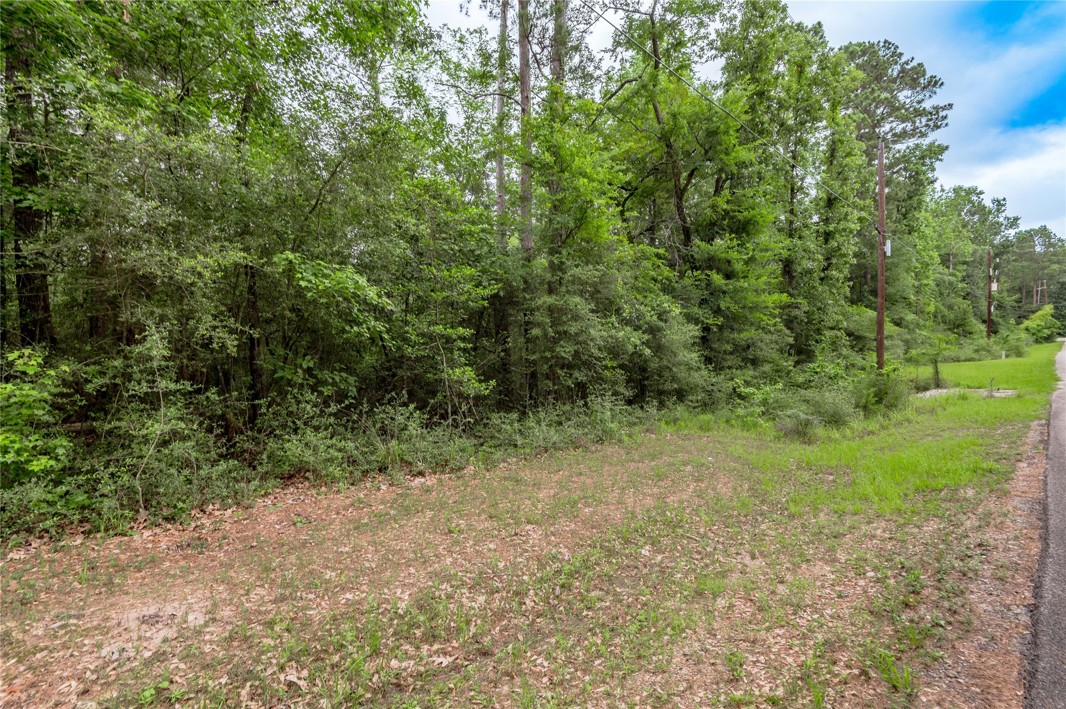 Lot 08 Oak Drive Trinity, TX 75862 - Photo 4 of 32