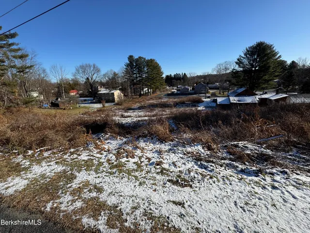 a view of a dry yard with trees and plants