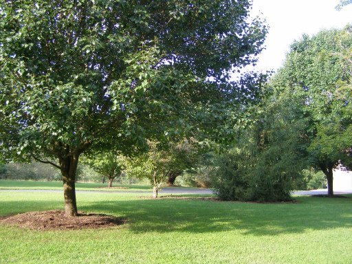 1524 Cook Road Crossville, TN 38555 - Photo 11 of 26 Additional Photo