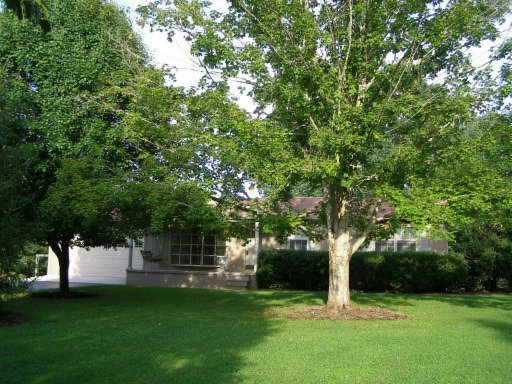 1524 Cook Road Crossville, TN 38555 - Photo 5 of 26 Primary Photo