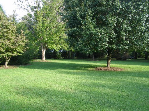 1524 Cook Road Crossville, TN 38555 - Photo 8 of 26 Additional Photo
