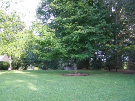 1524 Cook Road Crossville, TN 38555 - Photo 9 of 26 Additional Photo