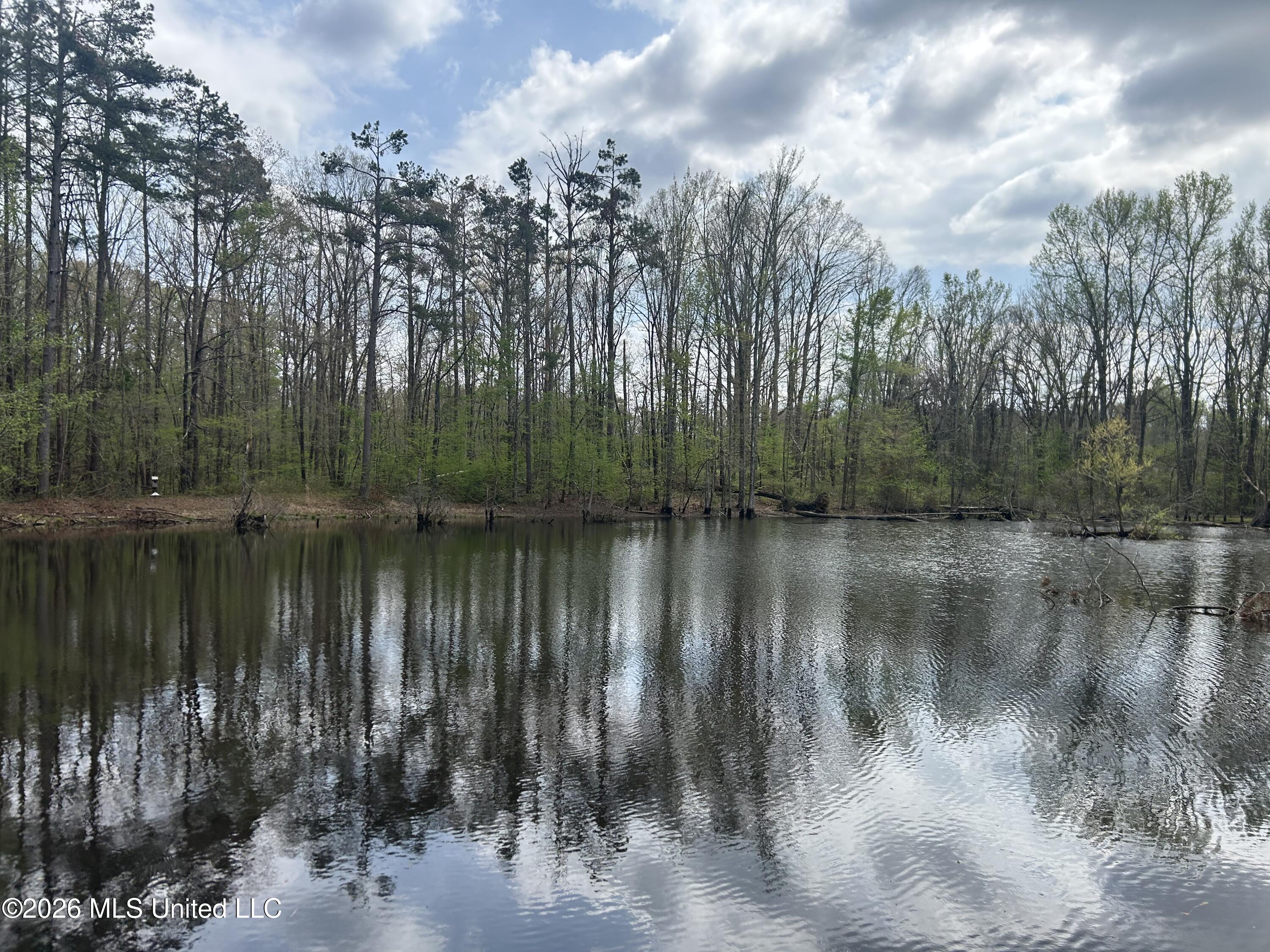 1356 Jeff Dodd Road West, MS 39192 - Photo 2 of 73 1