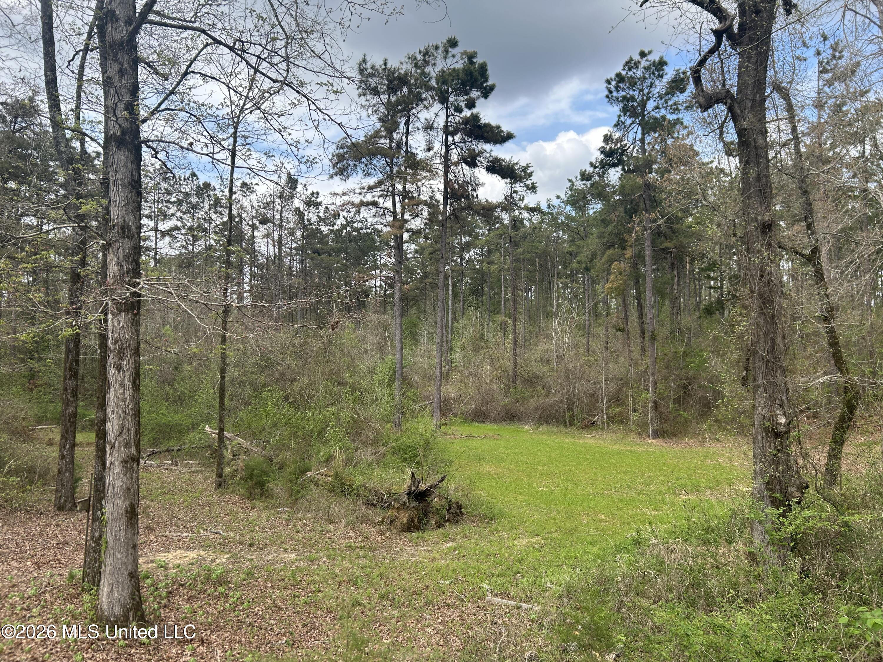 1356 Jeff Dodd Road West, MS 39192 - Photo 21 of 73 18