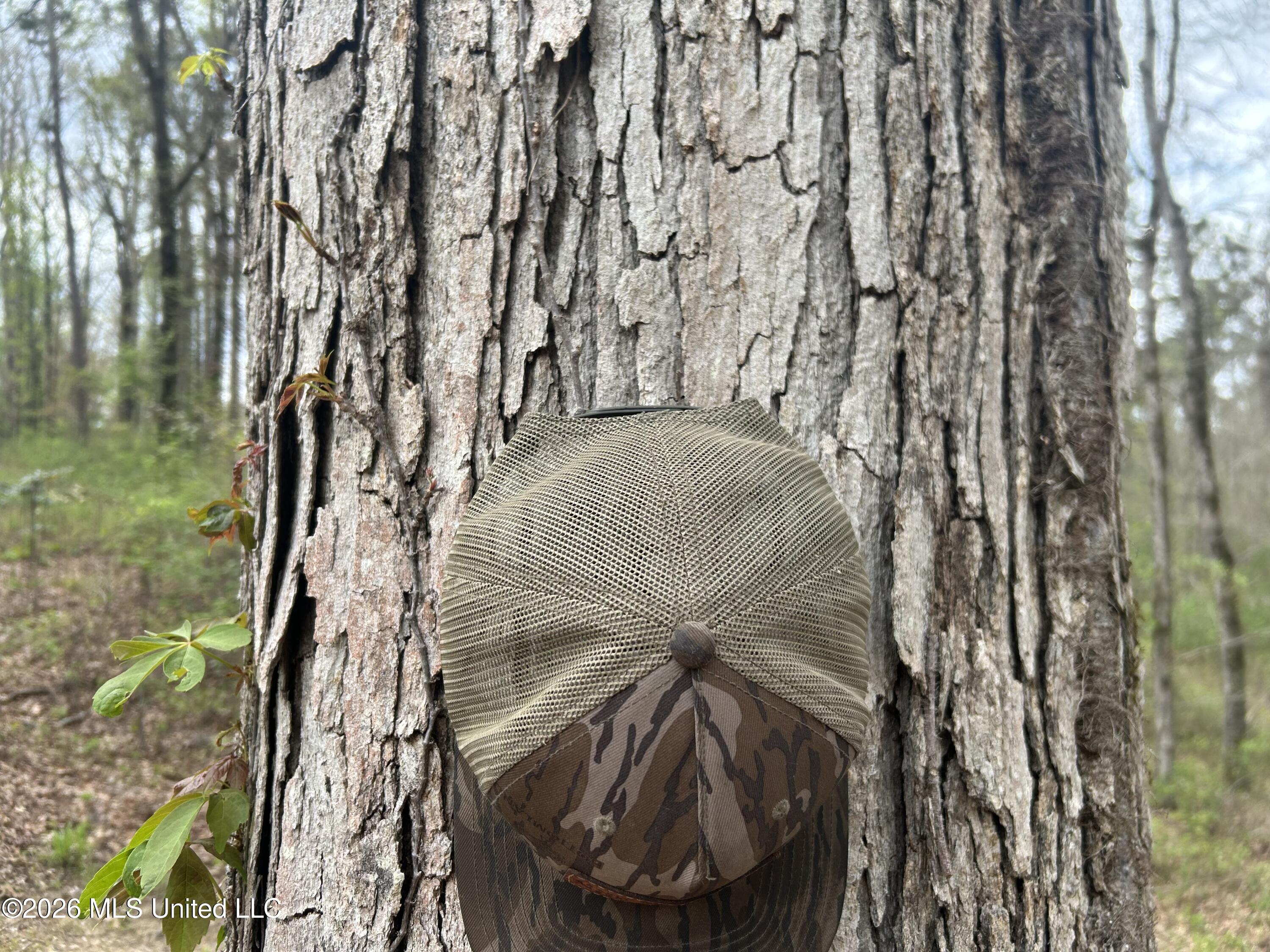 1356 Jeff Dodd Road West, MS 39192 - Photo 22 of 73 19