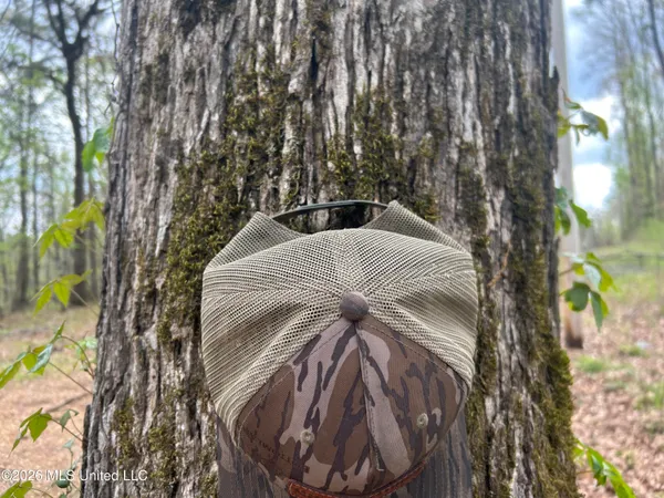 $309,900 | 1356 Jeff Dodd Road, West, MS 39192