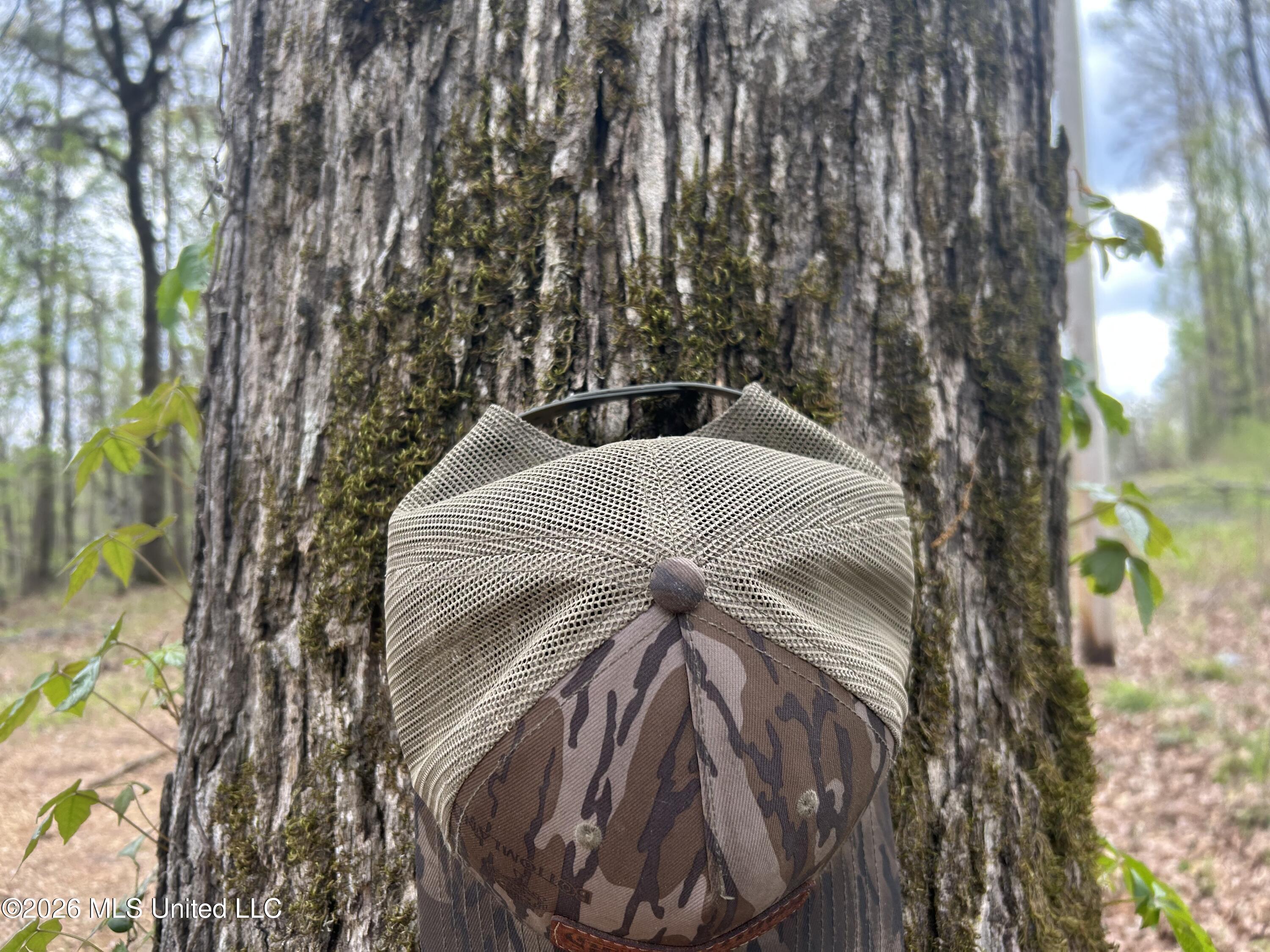 1356 Jeff Dodd Road West, MS 39192 - Photo 23 of 73 20