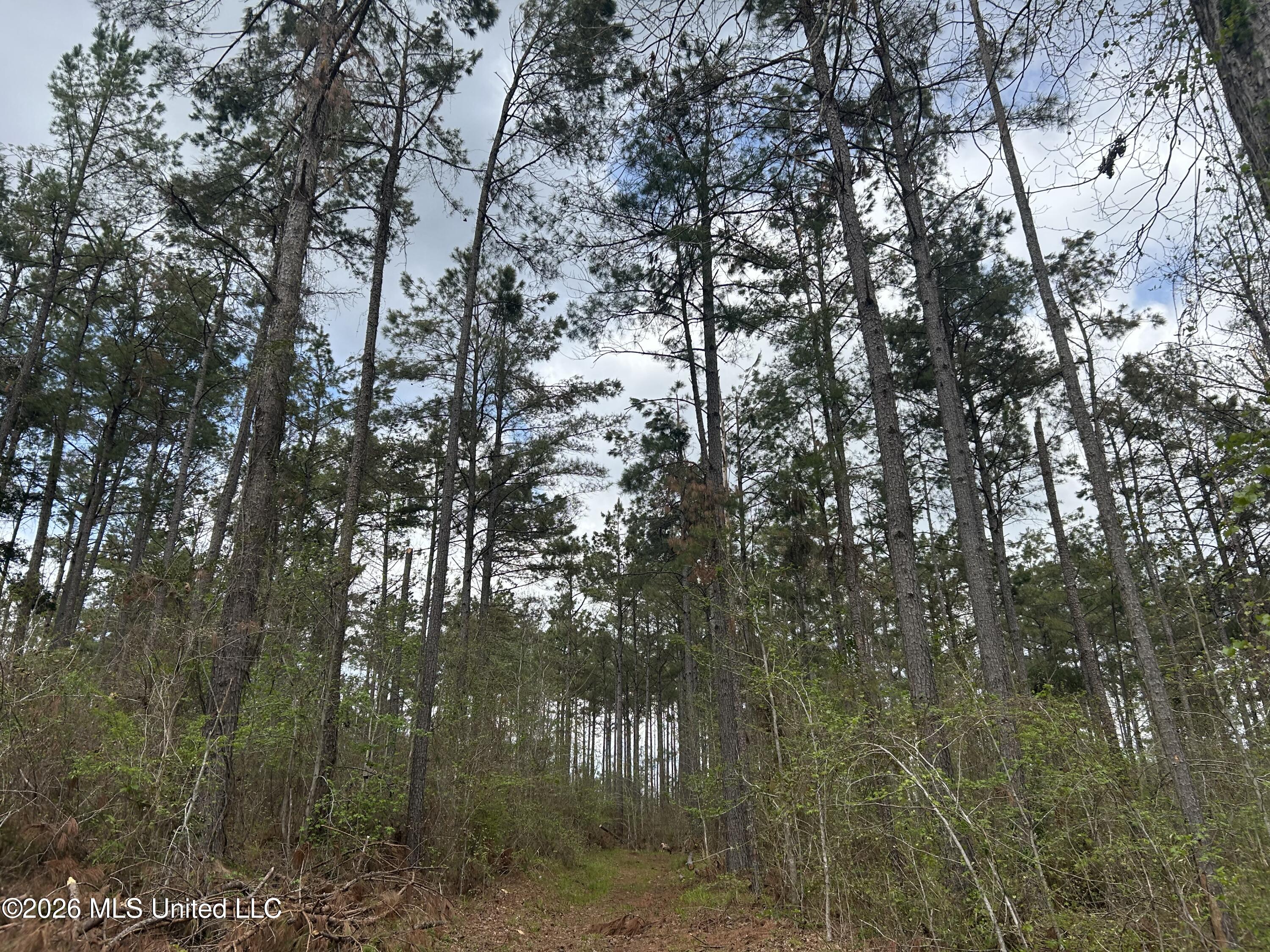 1356 Jeff Dodd Road West, MS 39192 - Photo 24 of 73 21