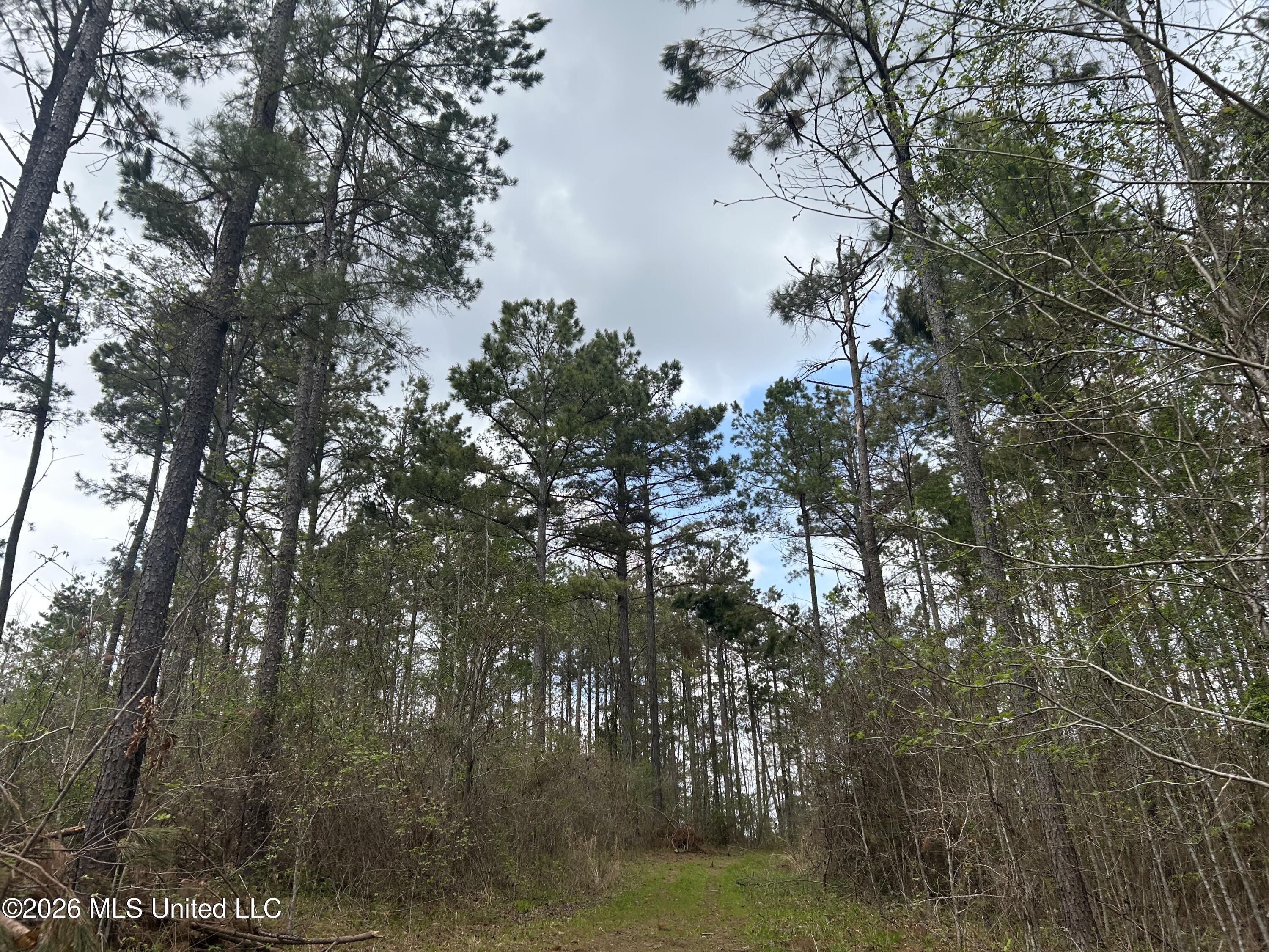 1356 Jeff Dodd Road West, MS 39192 - Photo 25 of 73 22