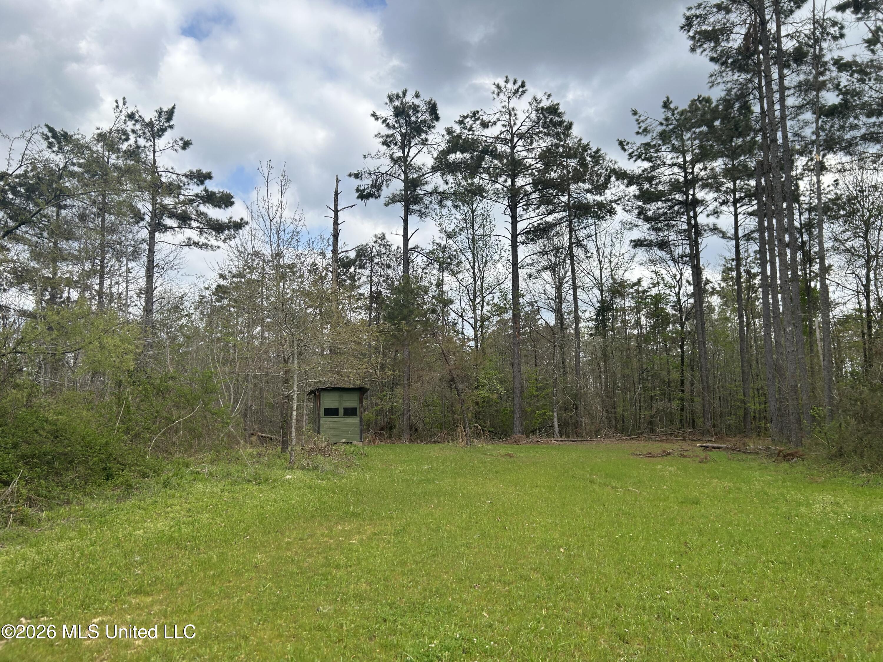 1356 Jeff Dodd Road West, MS 39192 - Photo 26 of 73 23