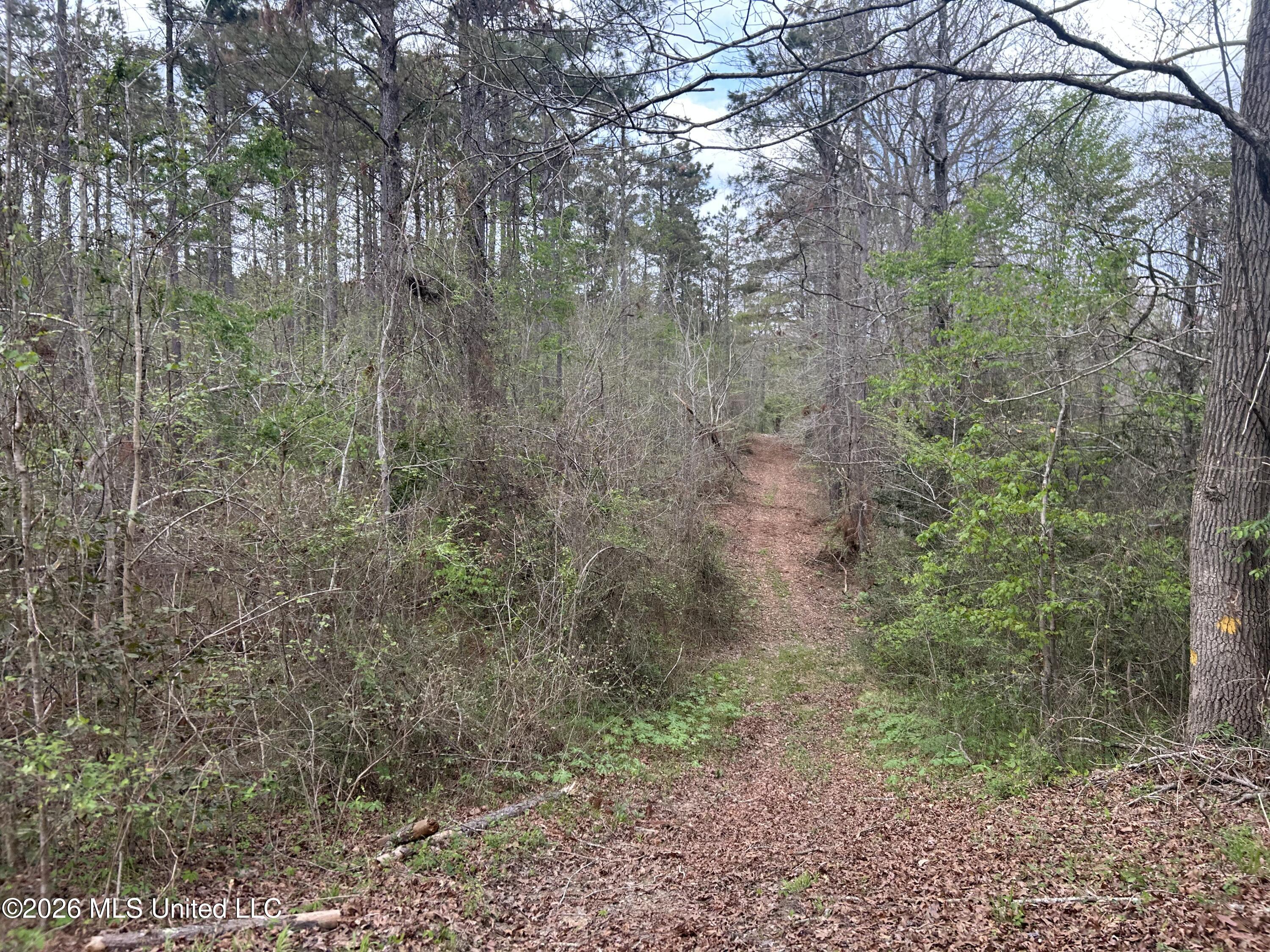 1356 Jeff Dodd Road West, MS 39192 - Photo 27 of 73 24