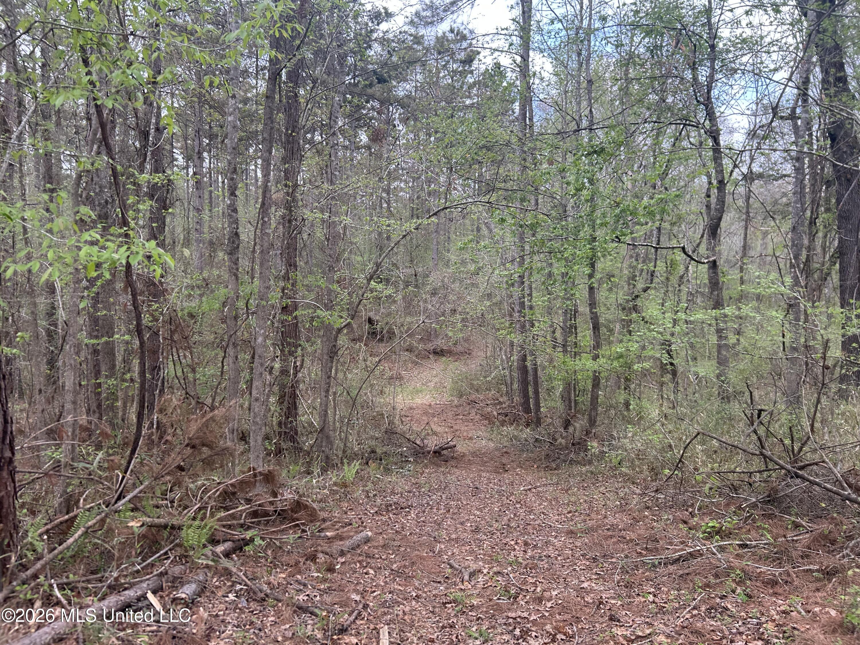 1356 Jeff Dodd Road West, MS 39192 - Photo 28 of 73 25