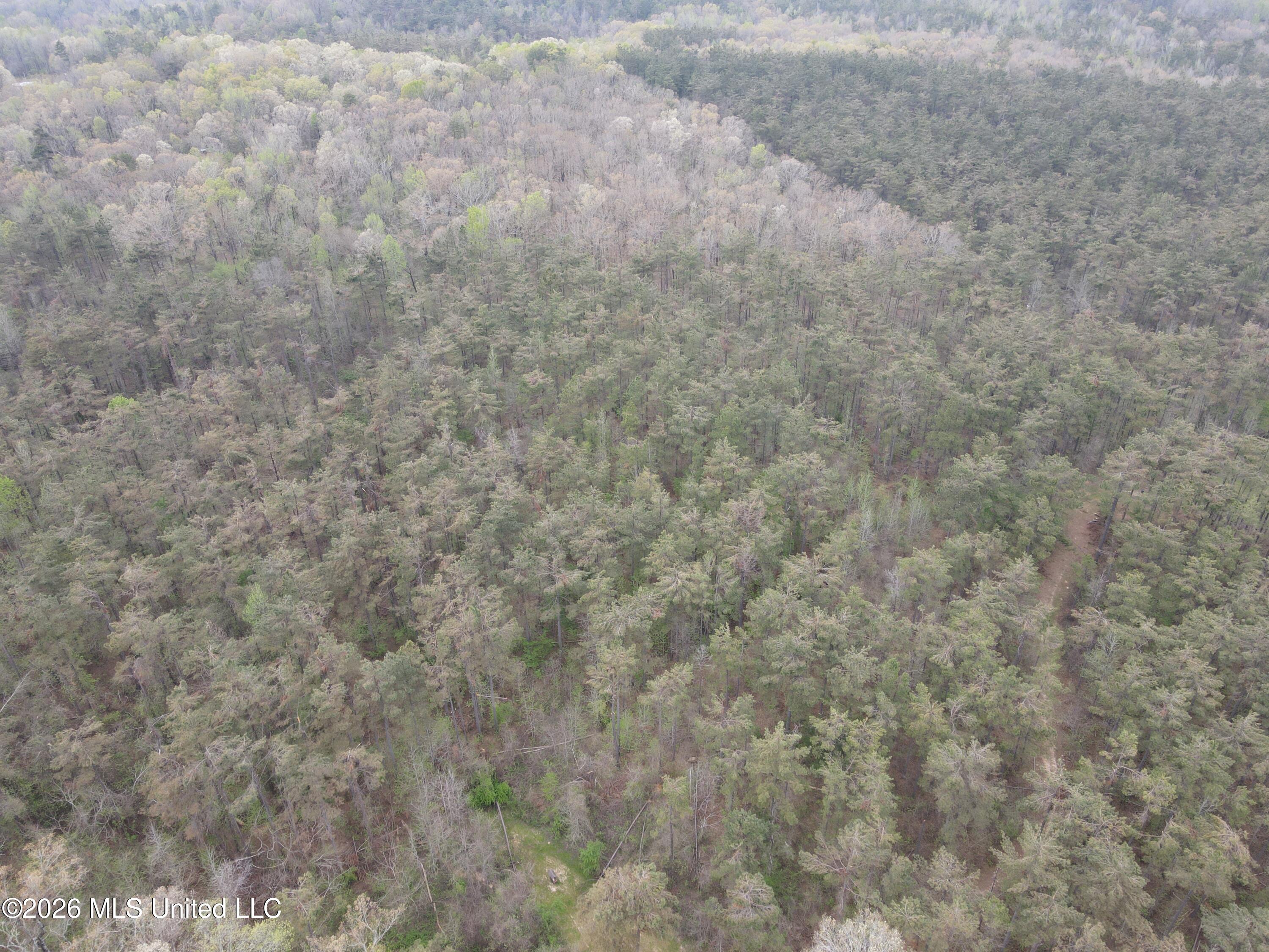 1356 Jeff Dodd Road West, MS 39192 - Photo 30 of 73 27