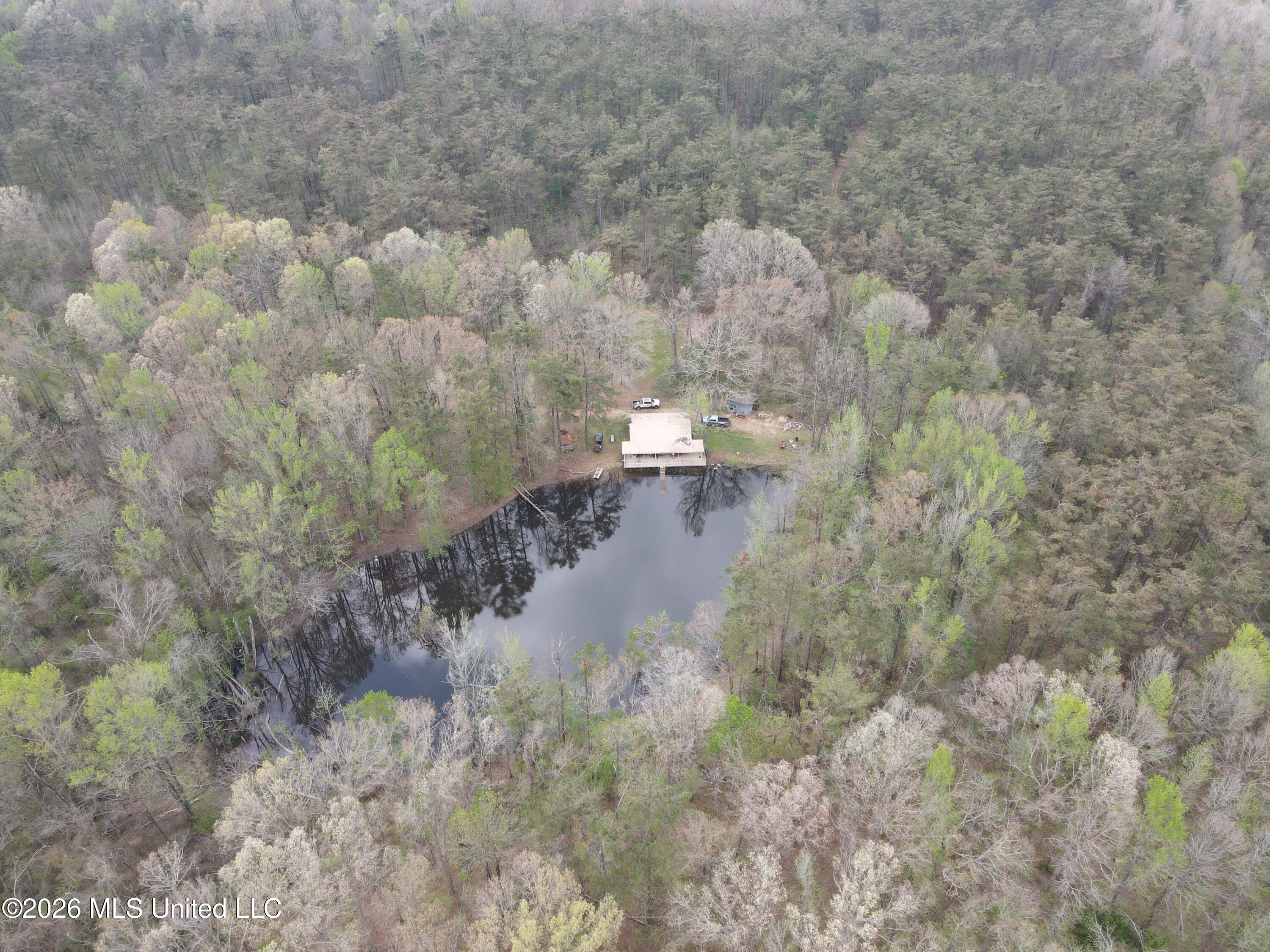 1356 Jeff Dodd Road West, MS 39192 - Photo 3 of 73 2