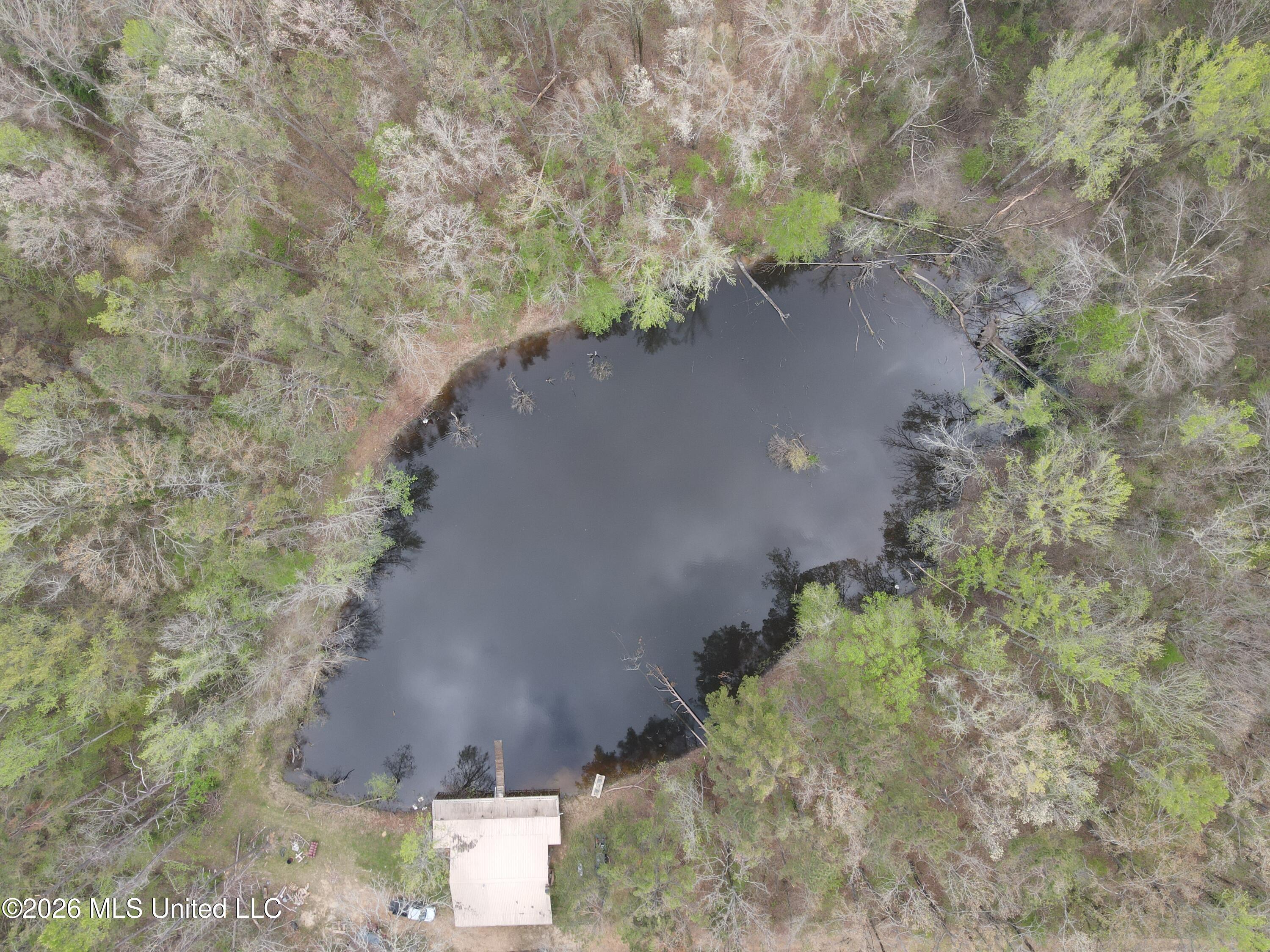 1356 Jeff Dodd Road West, MS 39192 - Photo 32 of 73 29