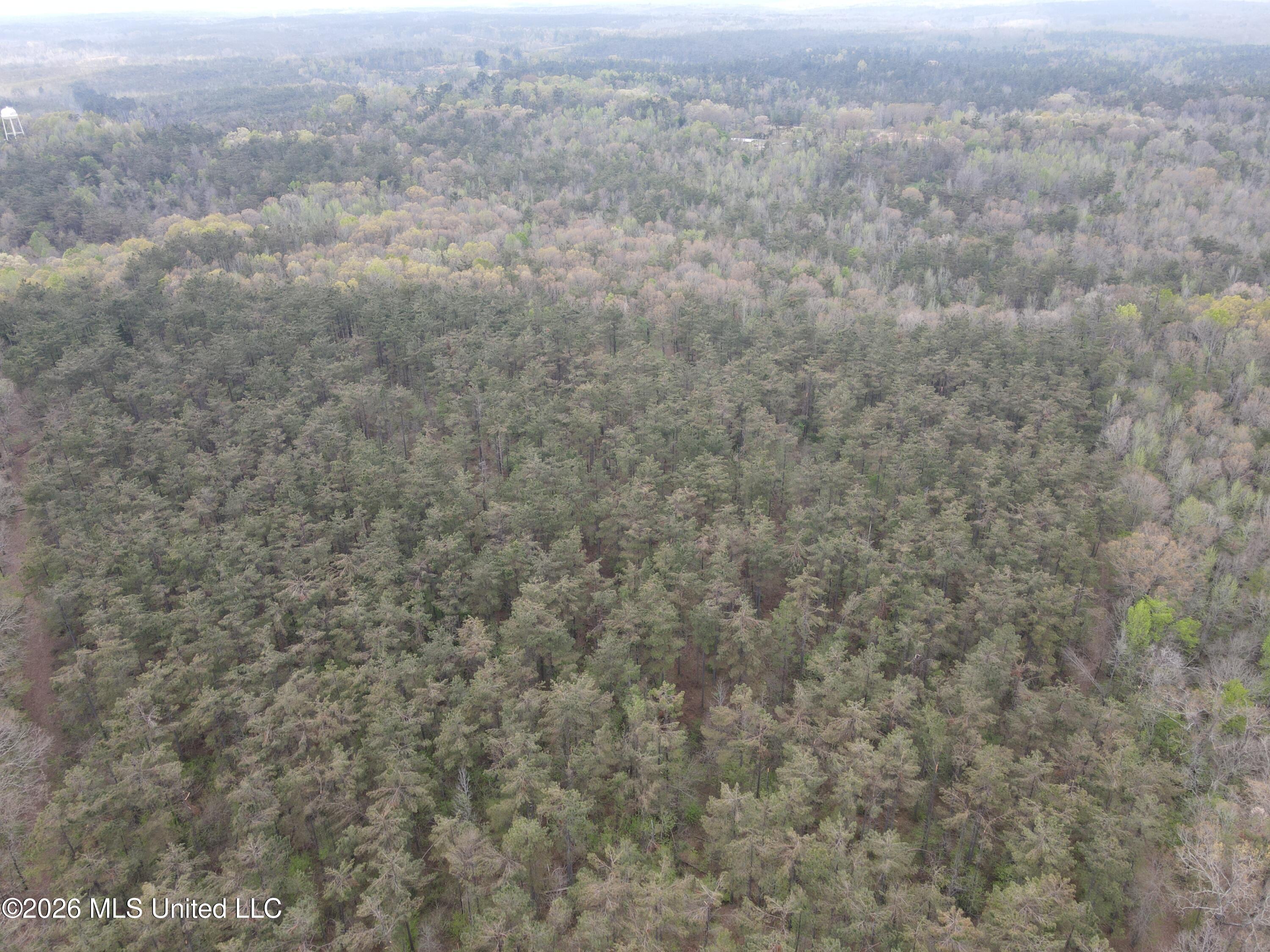 1356 Jeff Dodd Road West, MS 39192 - Photo 33 of 73 30