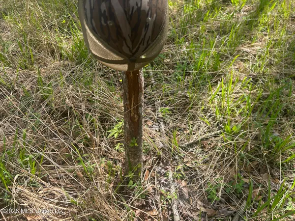 $309,900 | 1356 Jeff Dodd Road, West, MS 39192