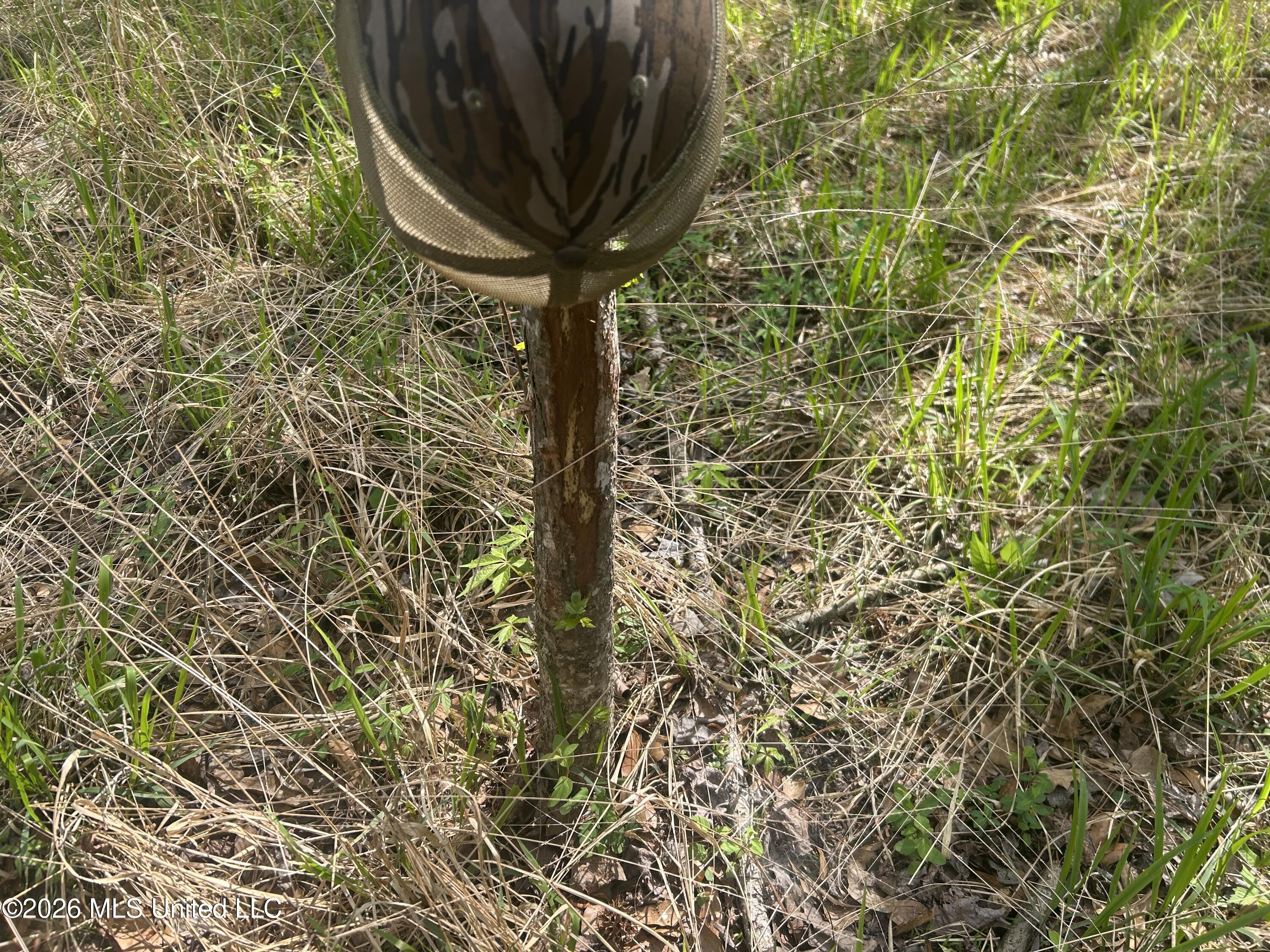 1356 Jeff Dodd Road West, MS 39192 - Photo 34 of 73 Photo Mar 26 2026, 10 49 23 AM