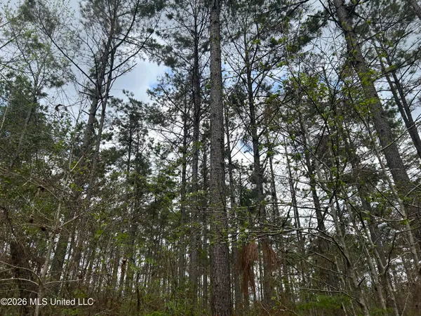 $309,900 | 1356 Jeff Dodd Road, West, MS 39192