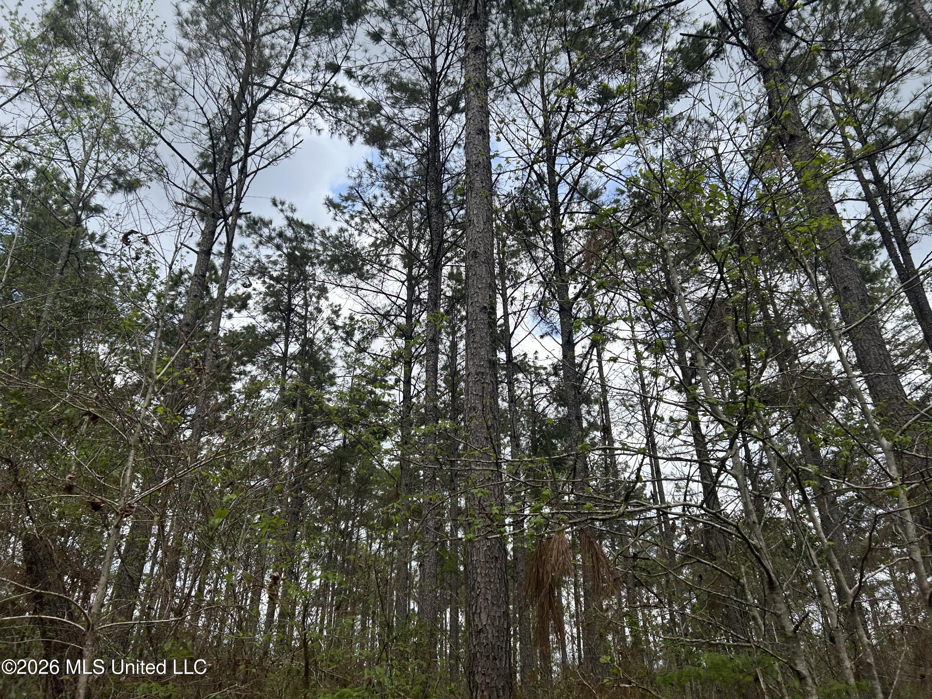 1356 Jeff Dodd Road West, MS 39192 - Photo 35 of 73 Photo Mar 27 2026, 2 32 00 PM