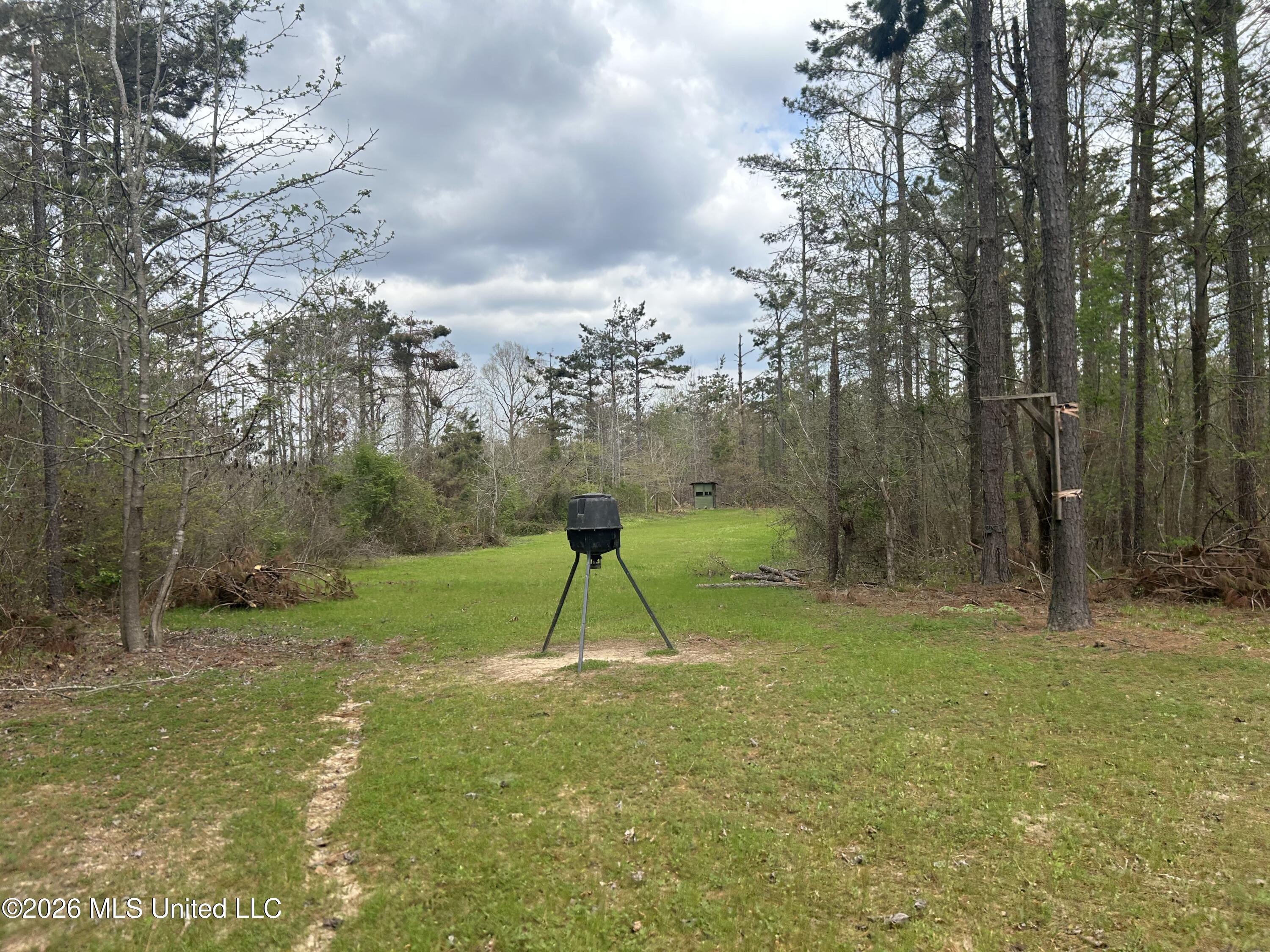 1356 Jeff Dodd Road West, MS 39192 - Photo 36 of 73 Photo Mar 27 2026, 2 32 44 PM