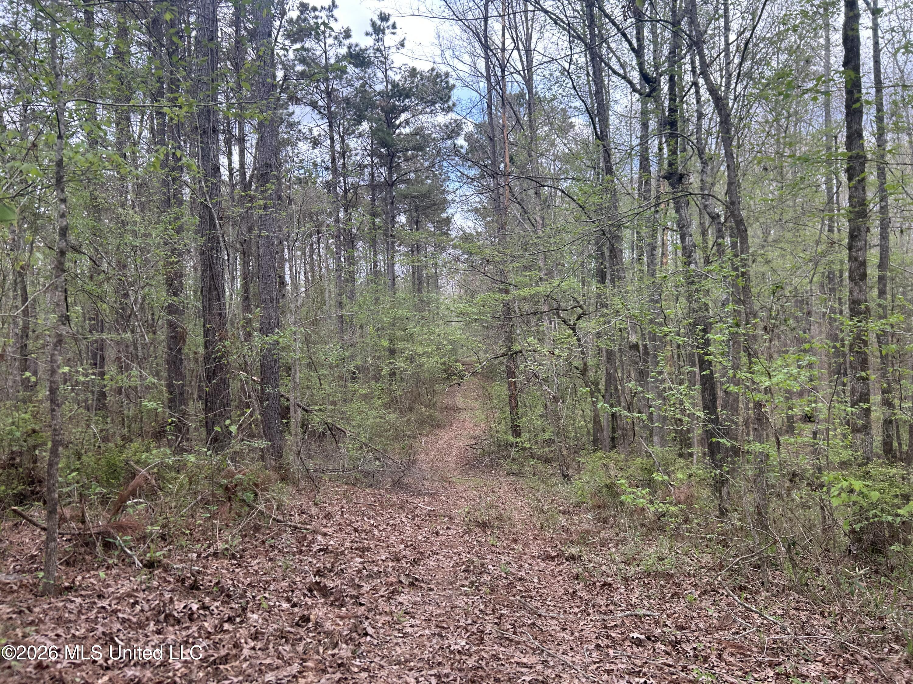 1356 Jeff Dodd Road West, MS 39192 - Photo 37 of 73 Photo Mar 27 2026, 2 35 43 PM