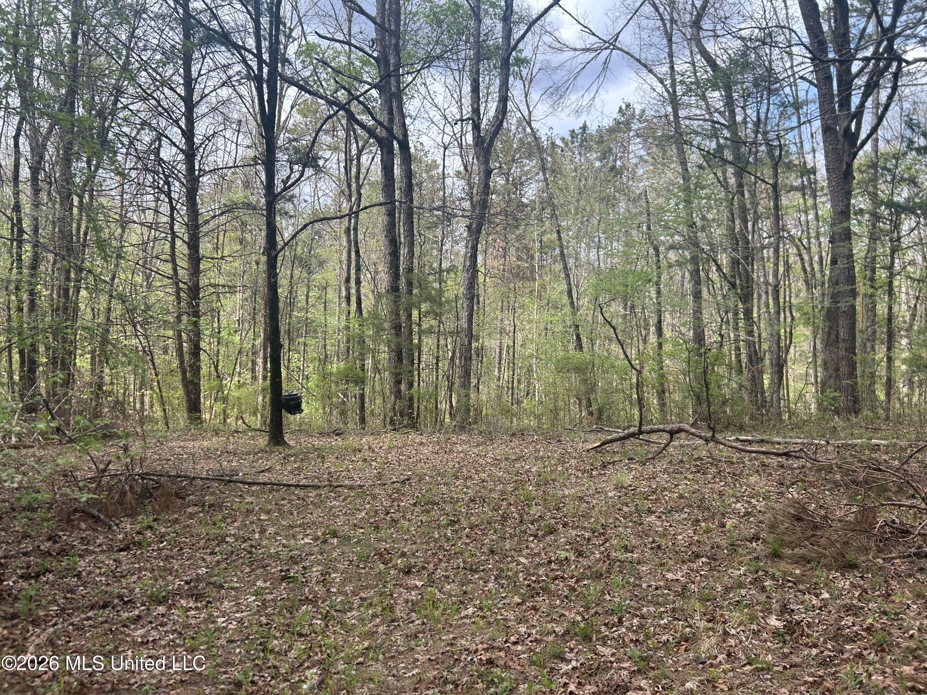 1356 Jeff Dodd Road West, MS 39192 - Photo 38 of 73 Photo Mar 27 2026, 2 36 57 PM