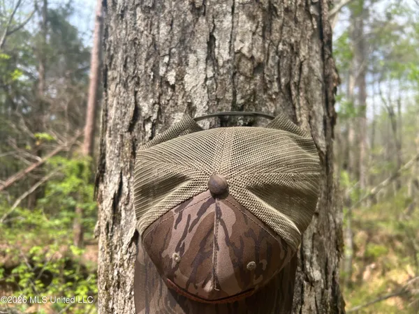 $309,900 | 1356 Jeff Dodd Road, West, MS 39192