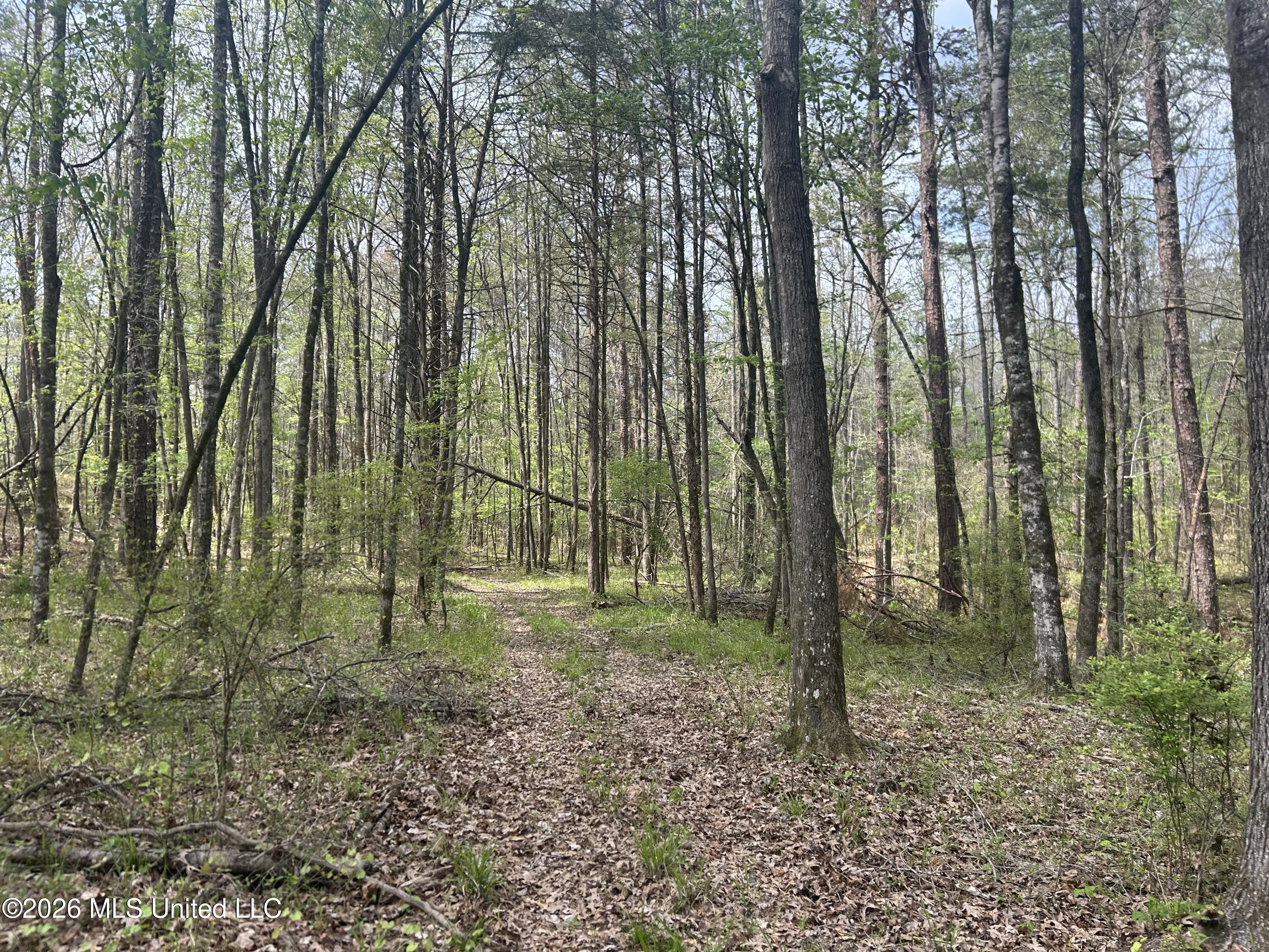 1356 Jeff Dodd Road West, MS 39192 - Photo 40 of 73 Photo Mar 27 2026, 2 38 41 PM