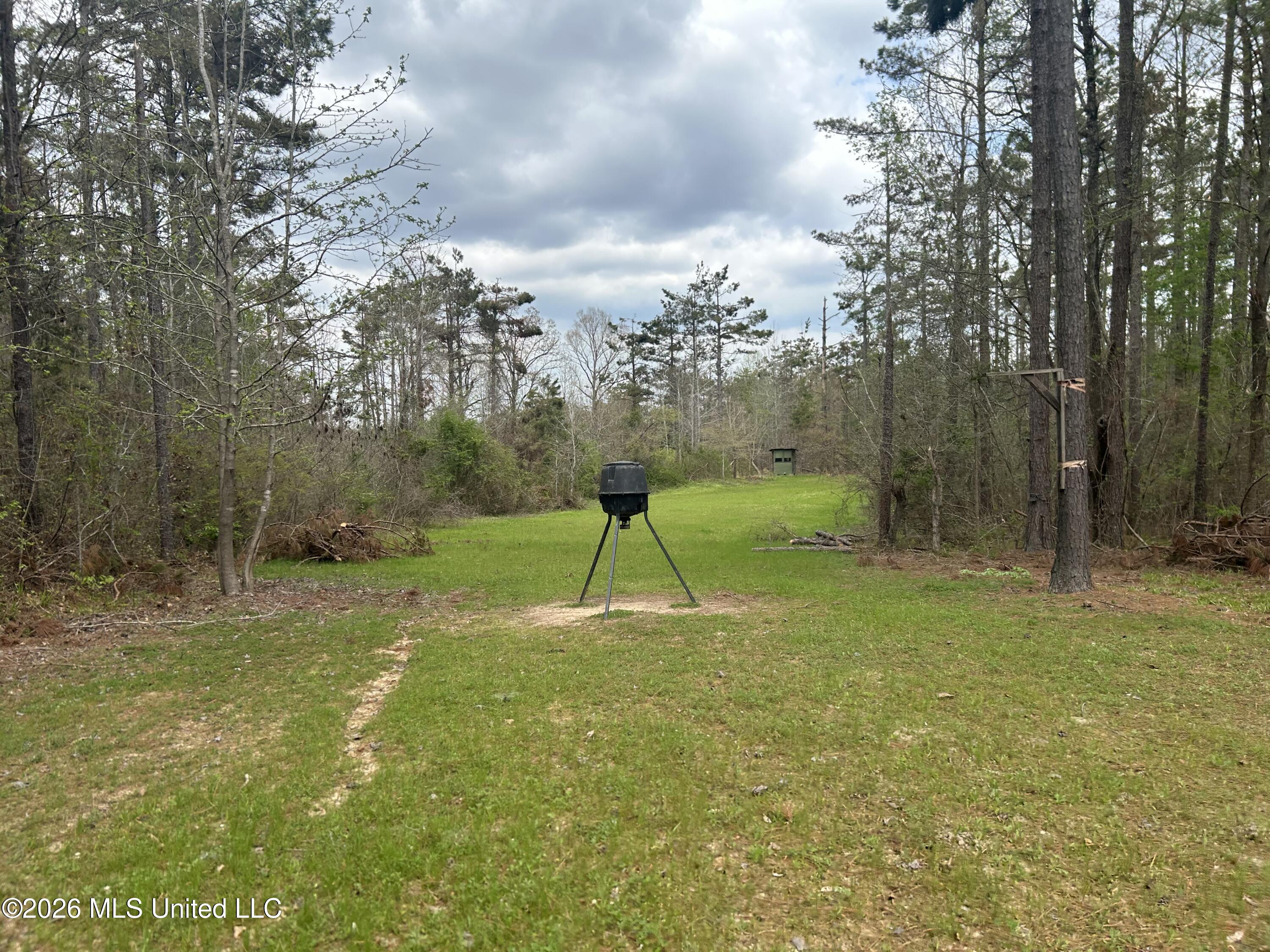 1356 Jeff Dodd Road West, MS 39192 - Photo 4 of 73 3