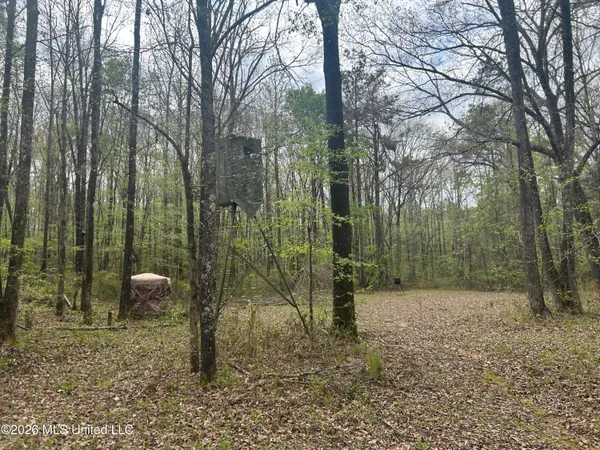 $309,900 | 1356 Jeff Dodd Road, West, MS 39192