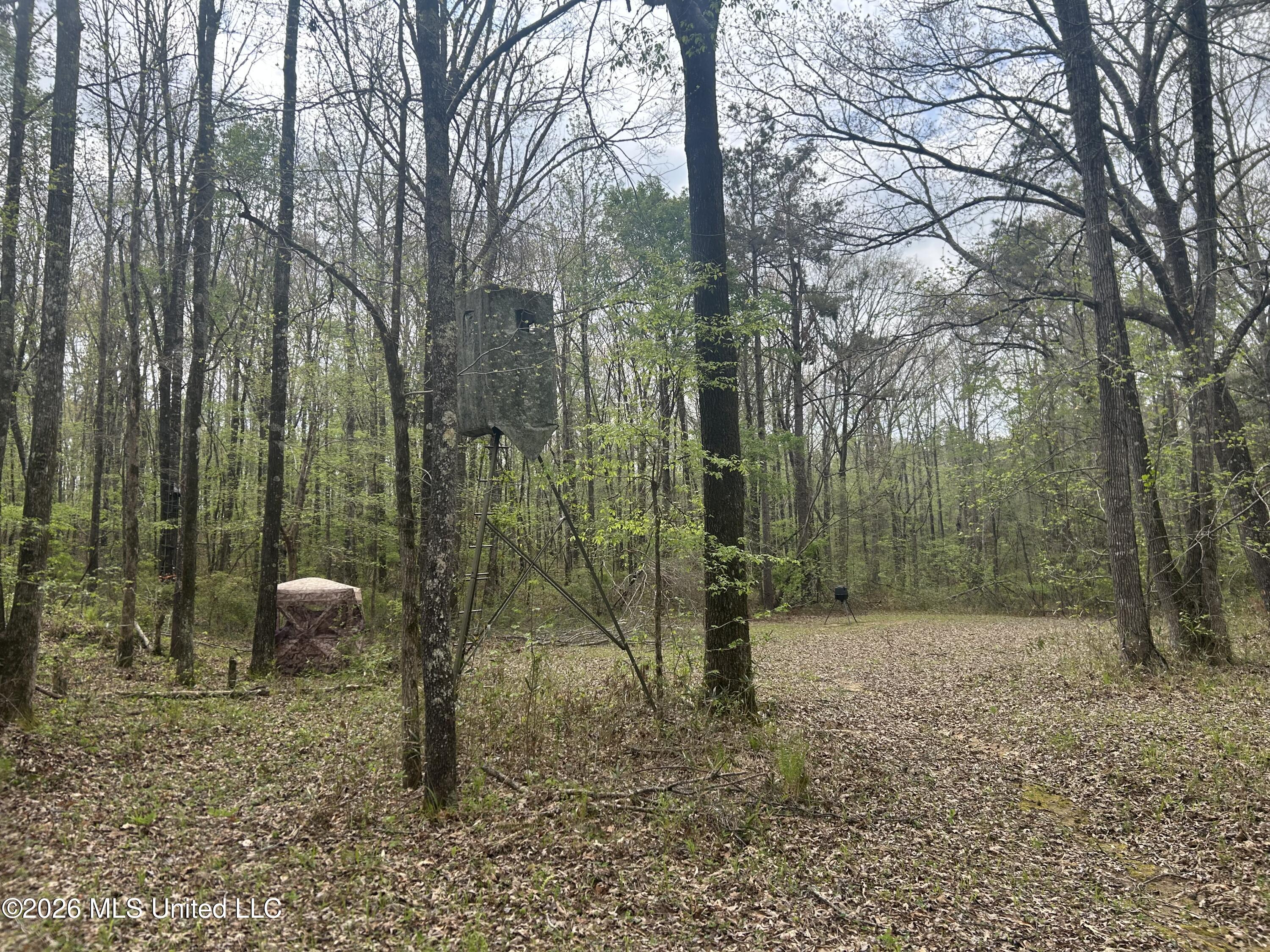 1356 Jeff Dodd Road West, MS 39192 - Photo 41 of 73 Photo Mar 27 2026, 2 41 25 PM